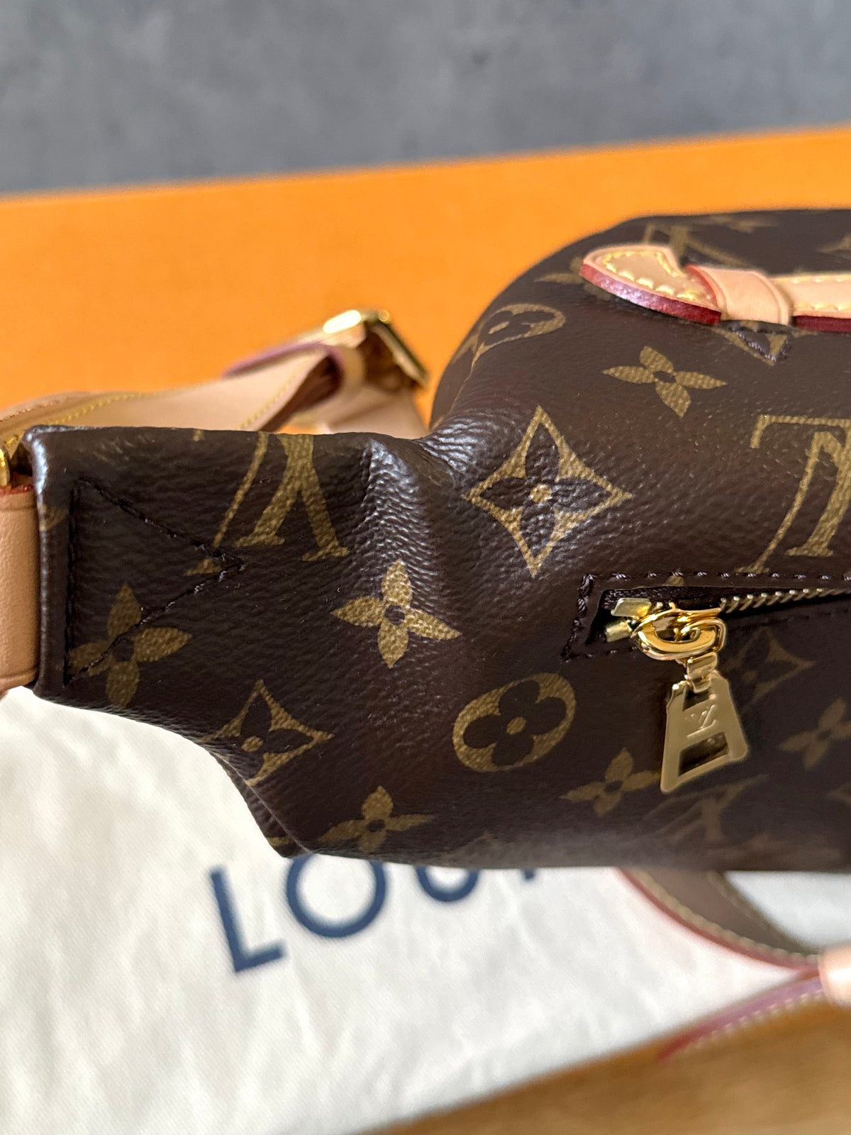 LV Bumbag MM monogram