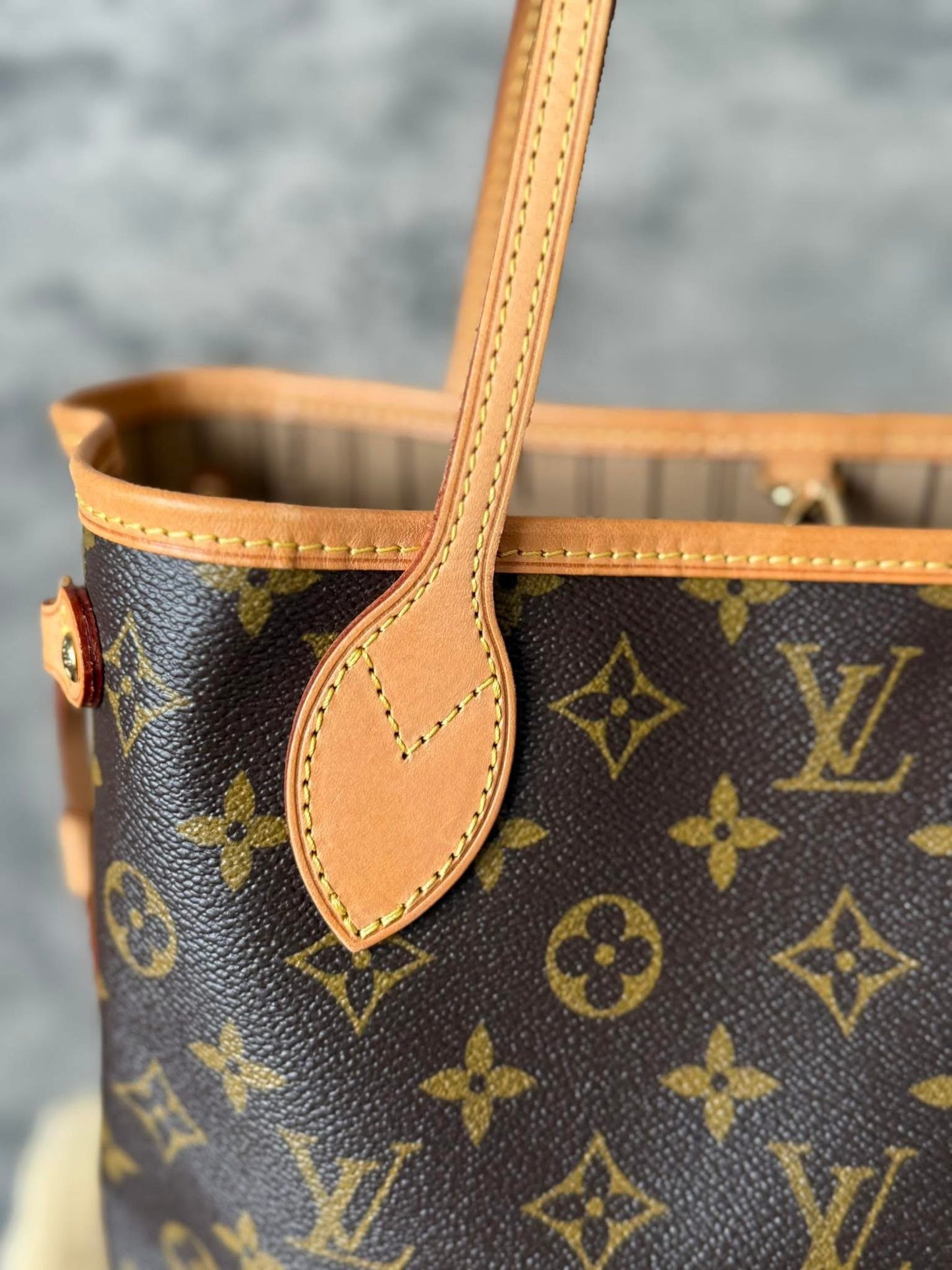 LV Neverfull PM Monigram