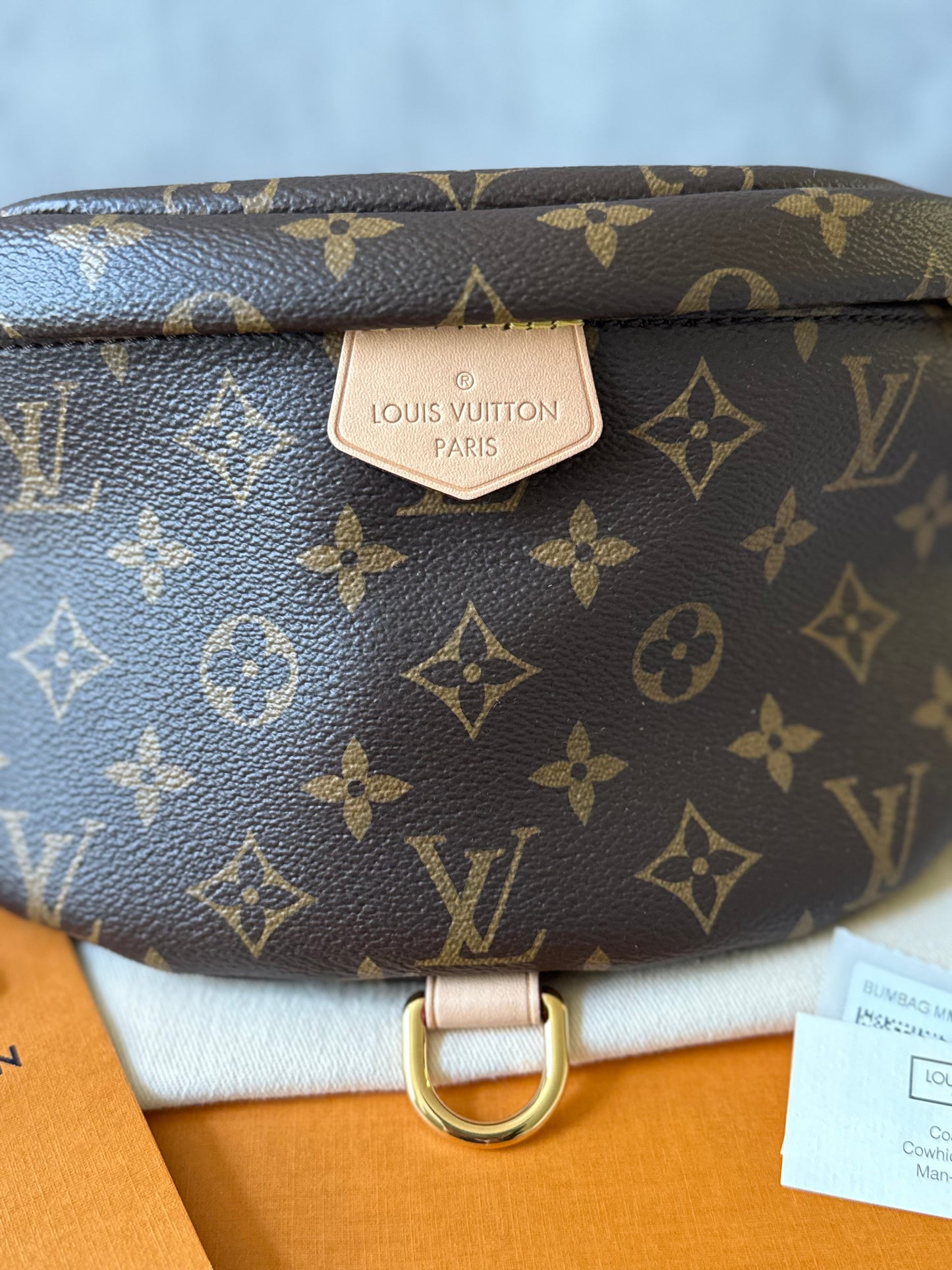 LV Bumbag MM Monogram