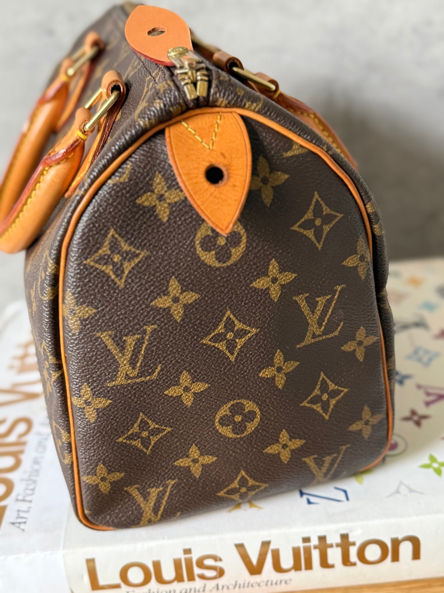 Louis Vuitton Speedy 25 Monogram