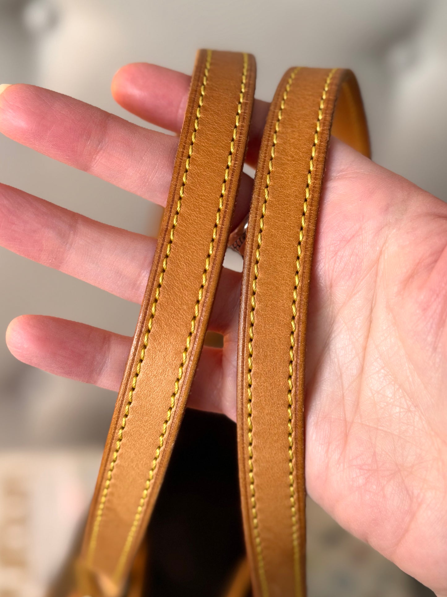 LV Bucket PM Monogram