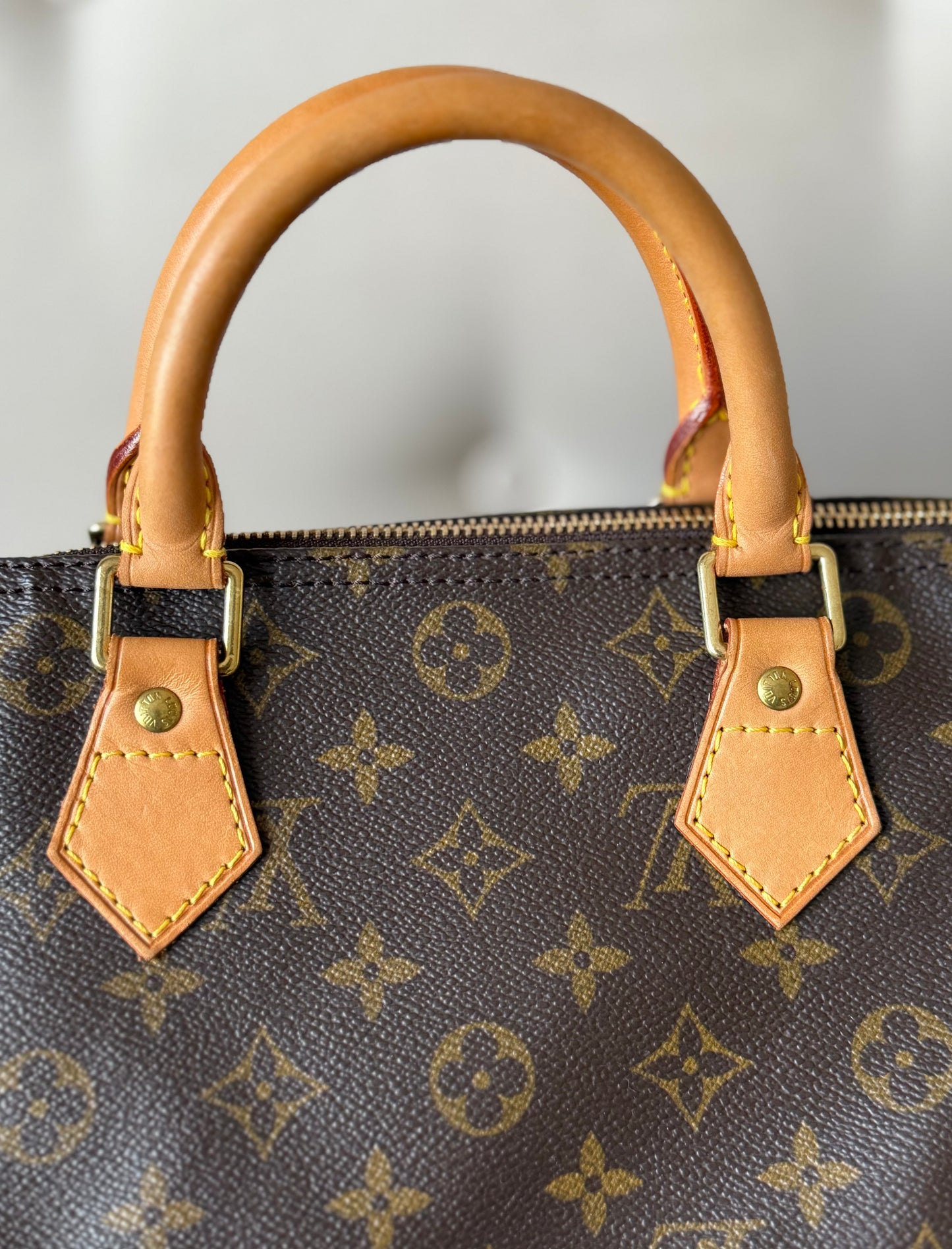 LV Speedy 30 Monogram