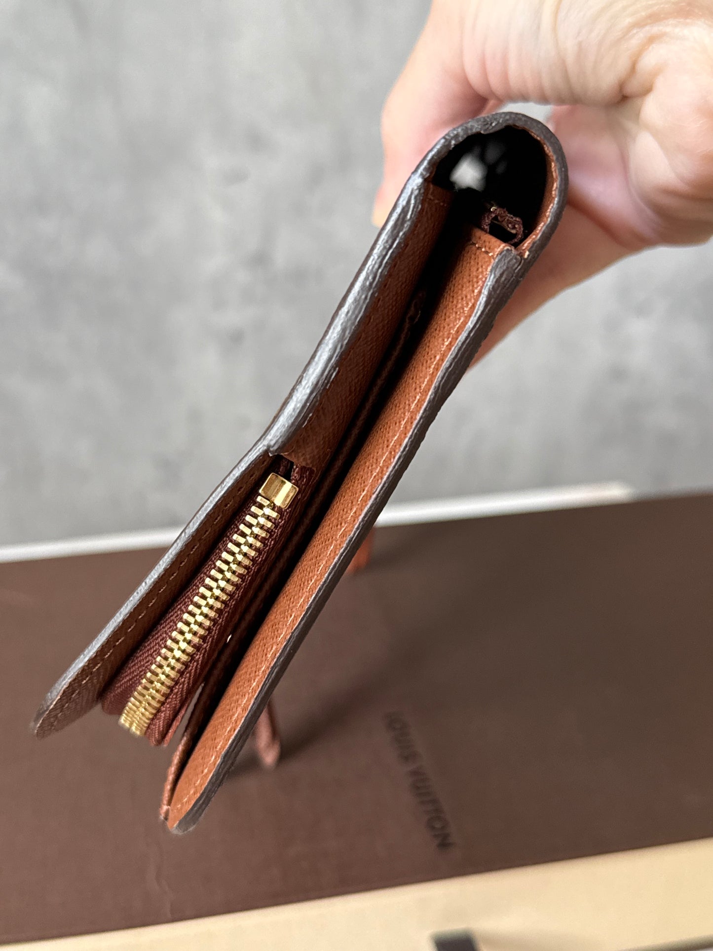LV Insolite XL organizer wallet