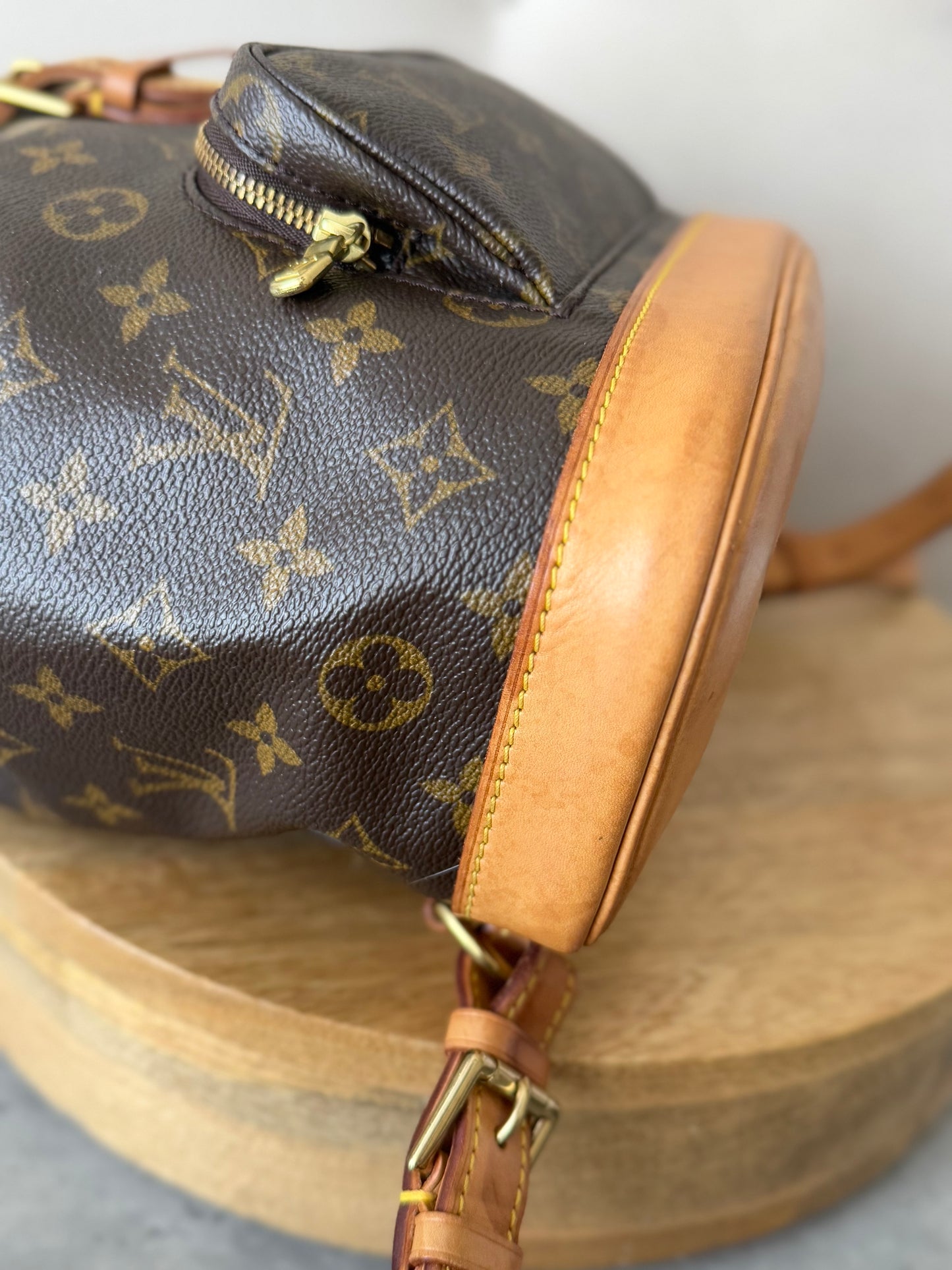 LV Montsouris MM Backpack
