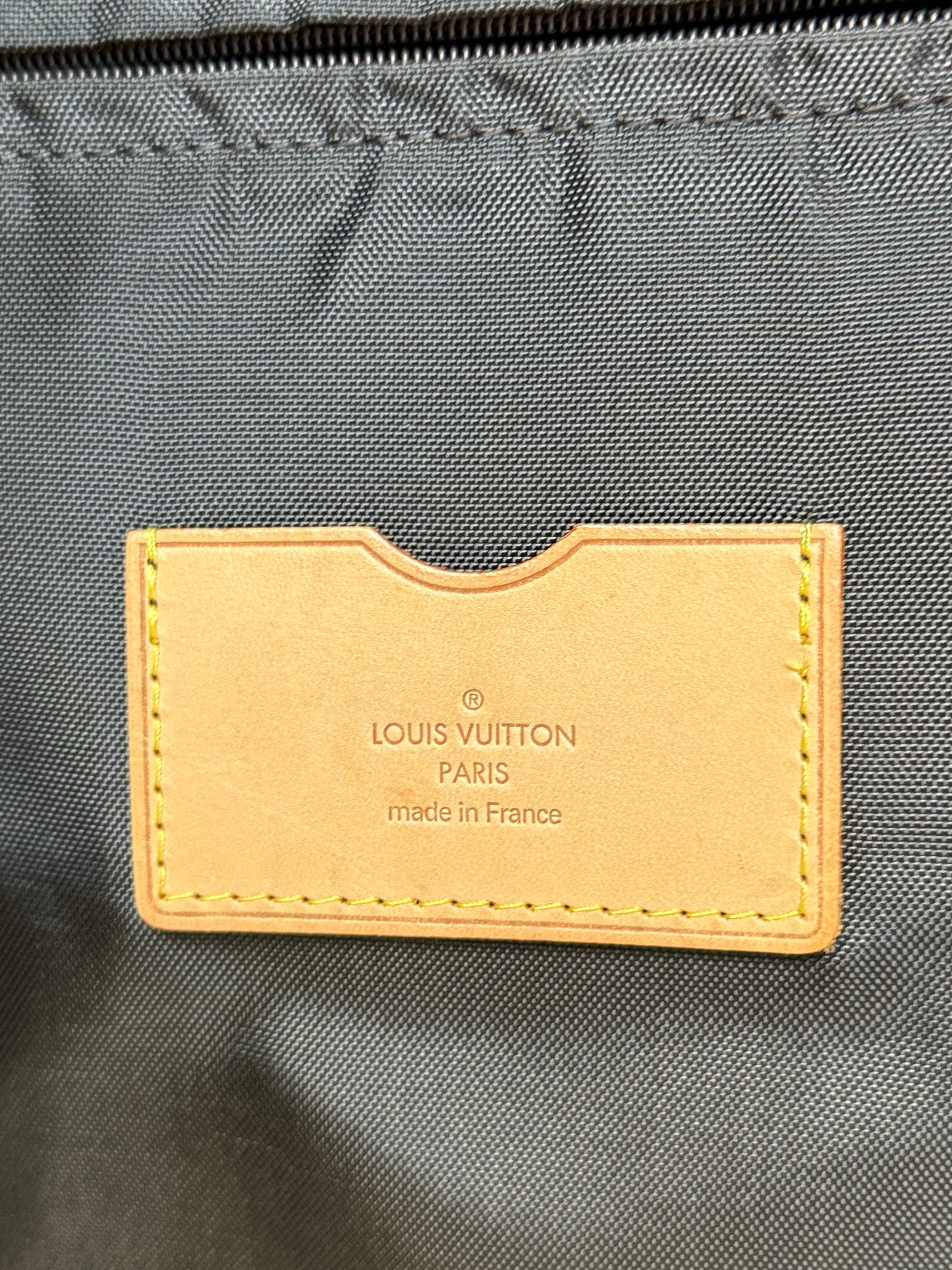LV Pegase 55 Rolling Luggage