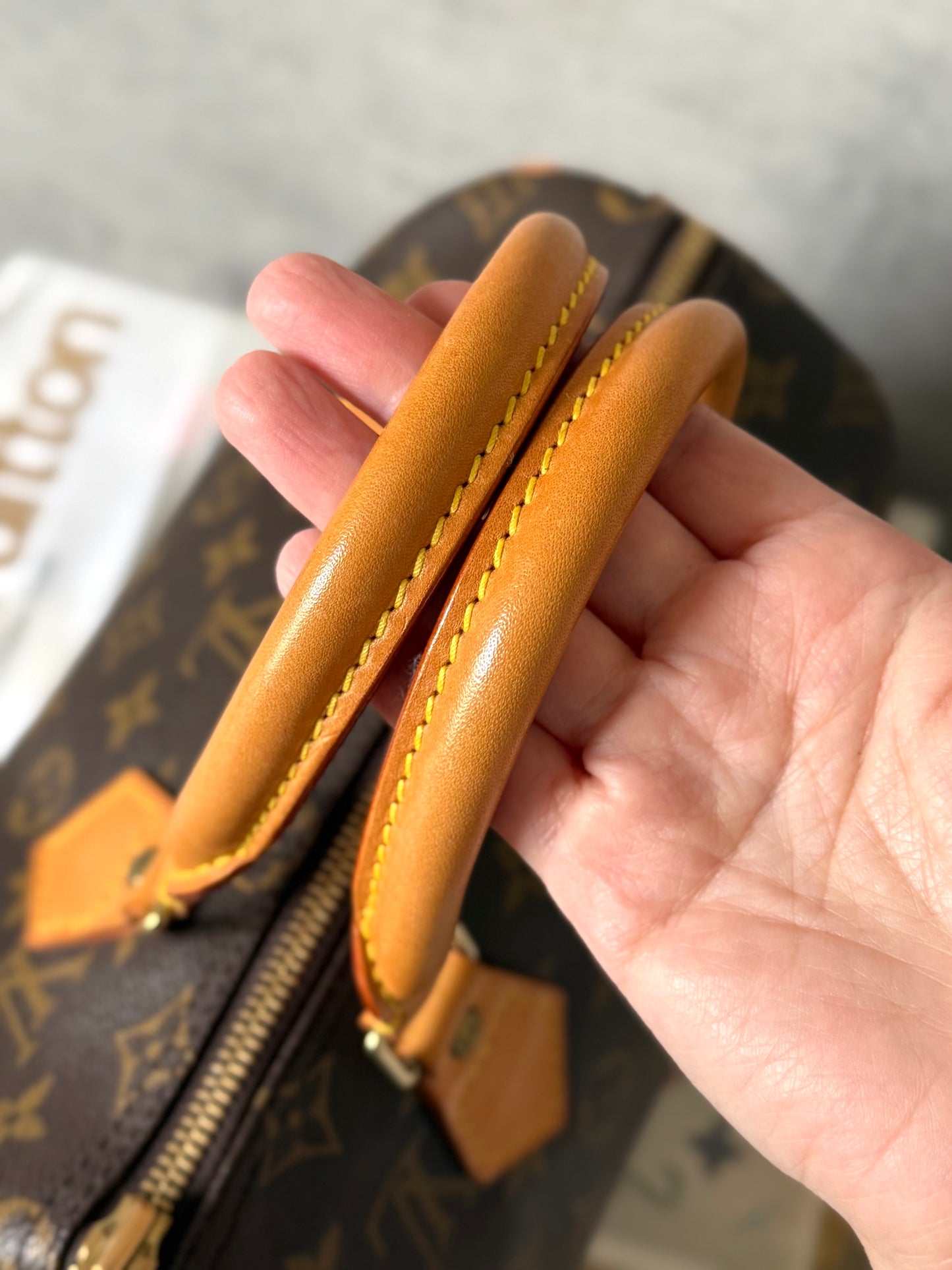 Louis Vuitton Speedy 25 Monogram