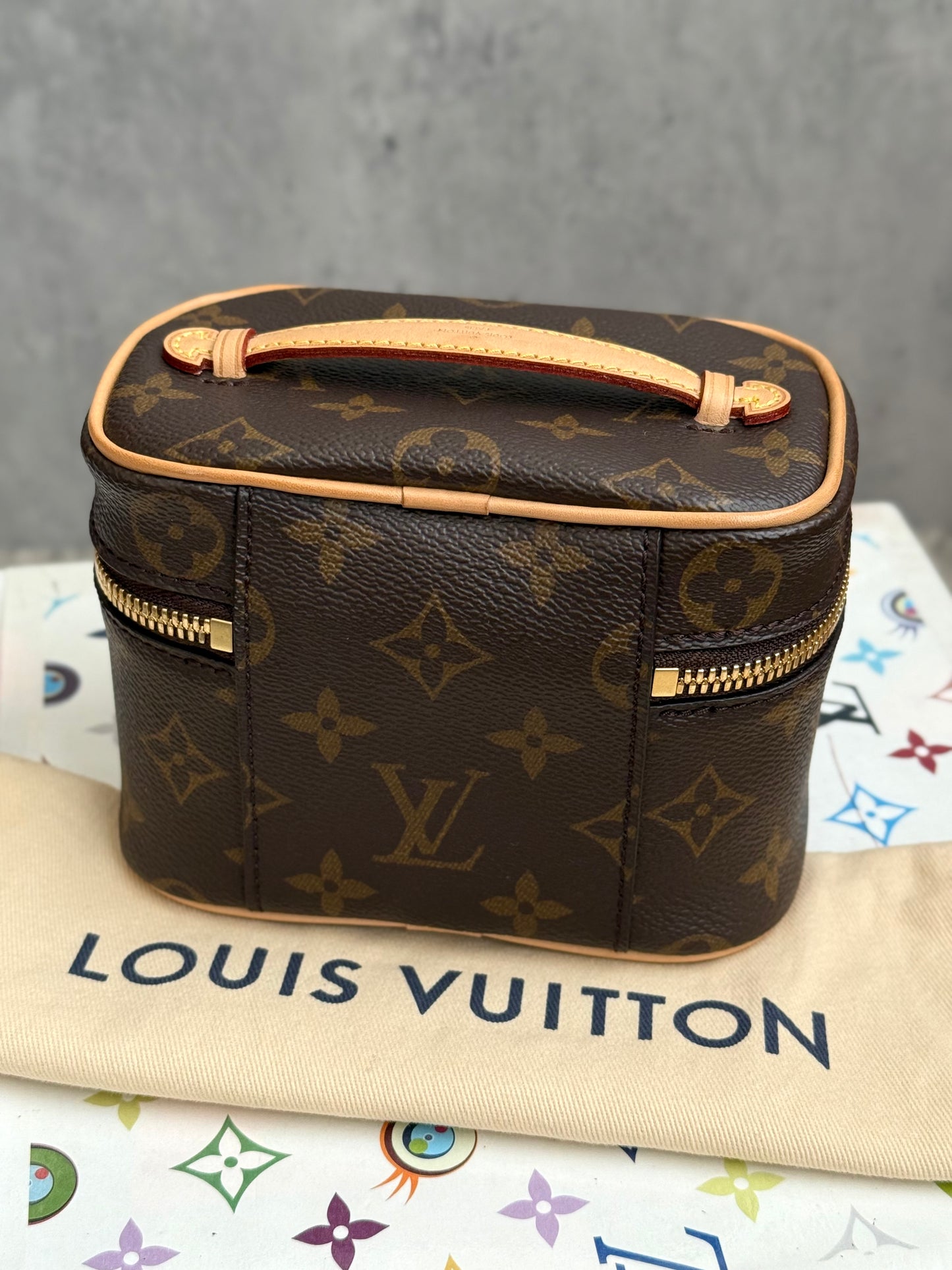 LV Nice Nano Case