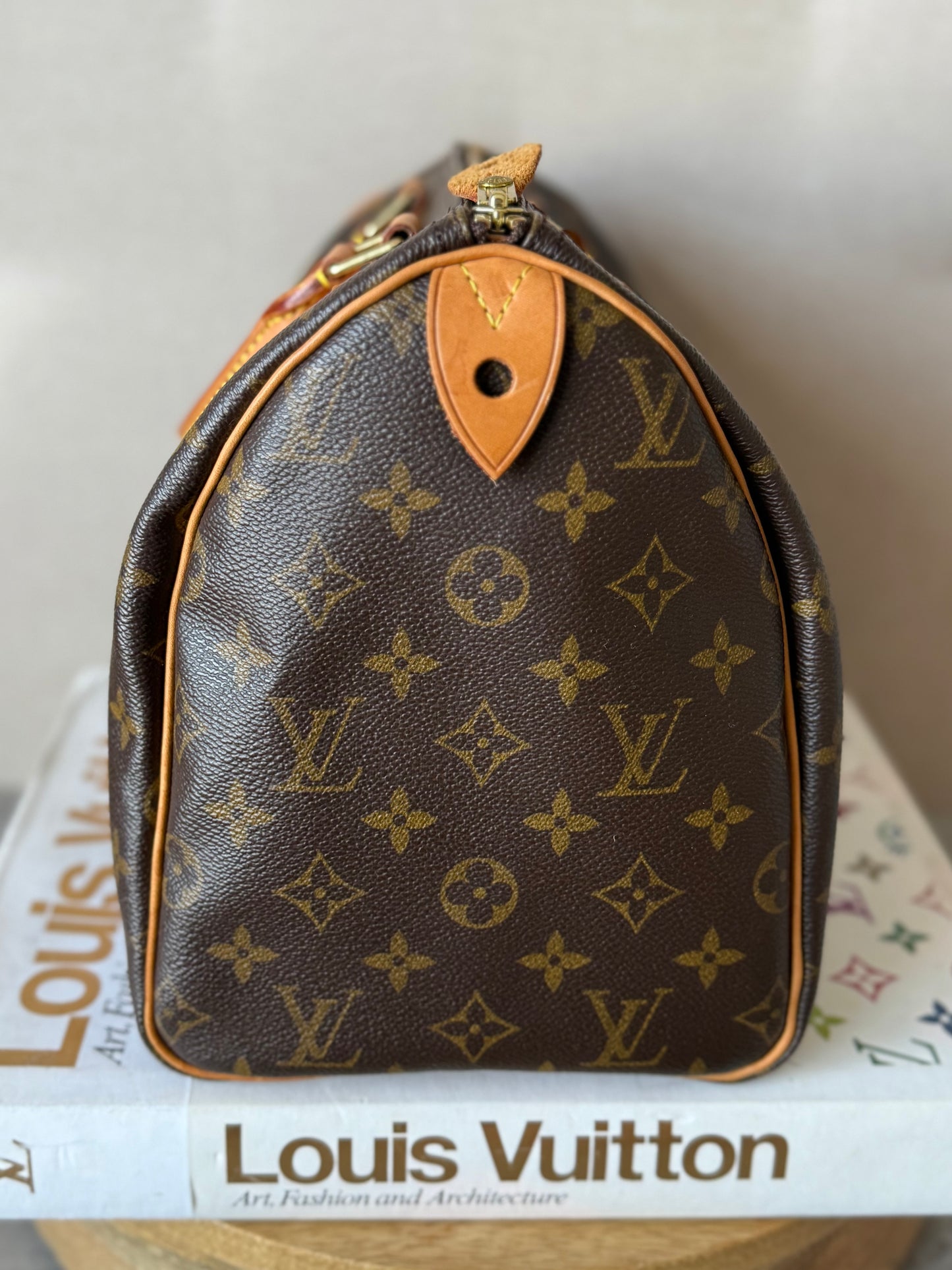 LV Speedy 30 Monogram
