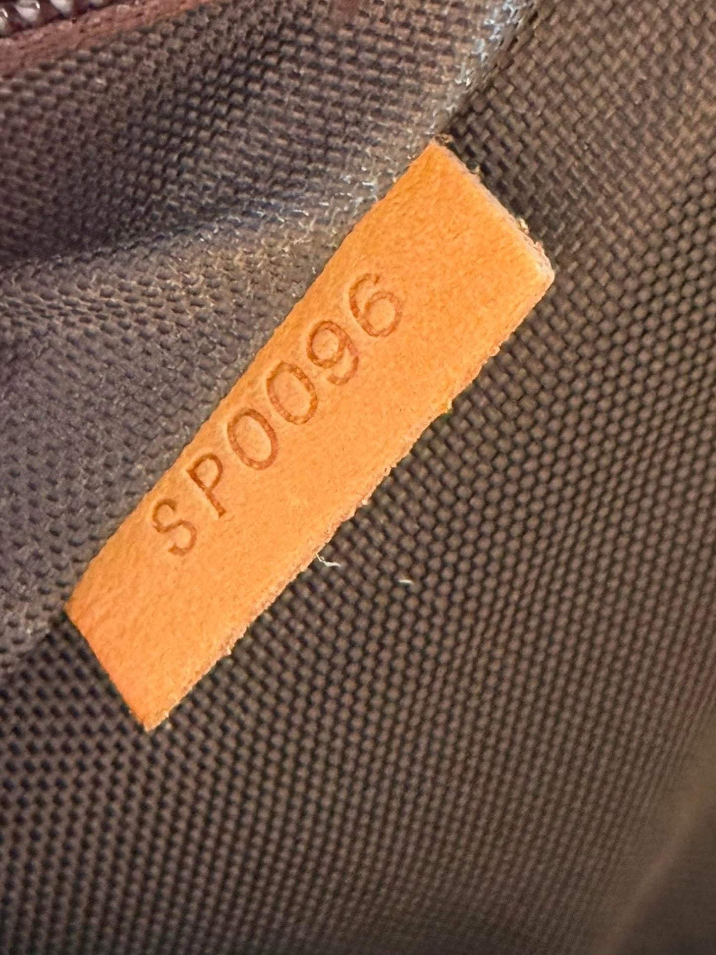 LV Pegase 45 Rolling Luggage