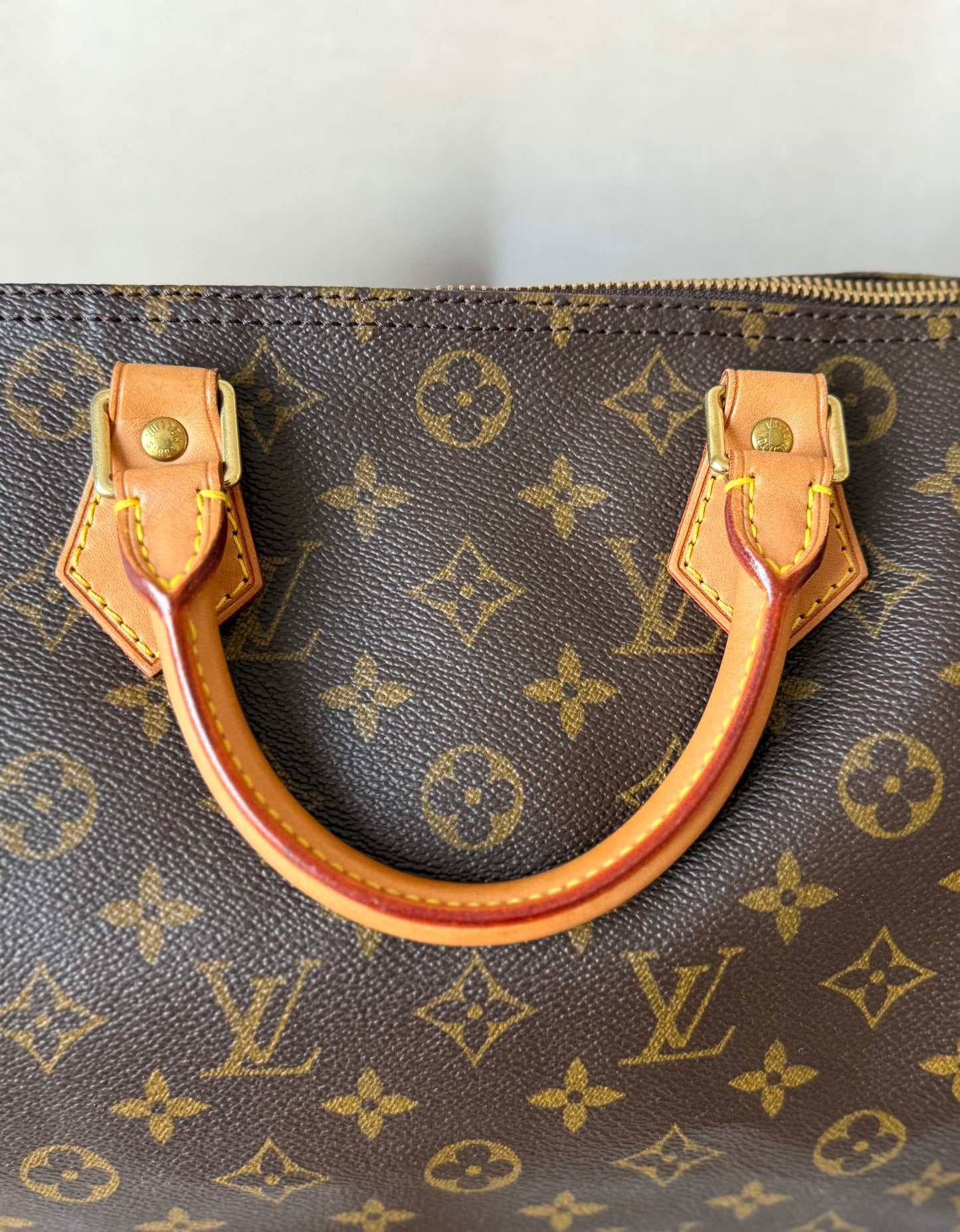 LV Speedy 30 Monogram