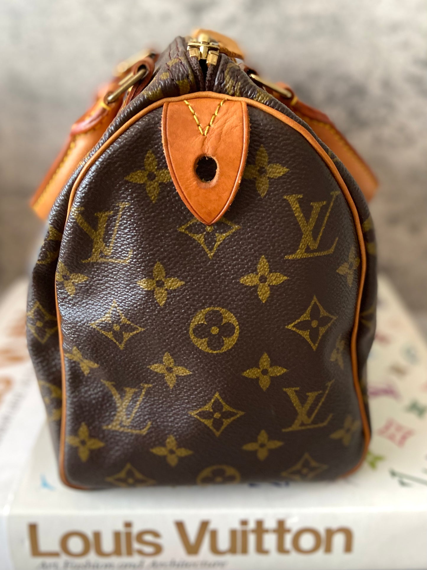 LV Speedy 25 Monogram