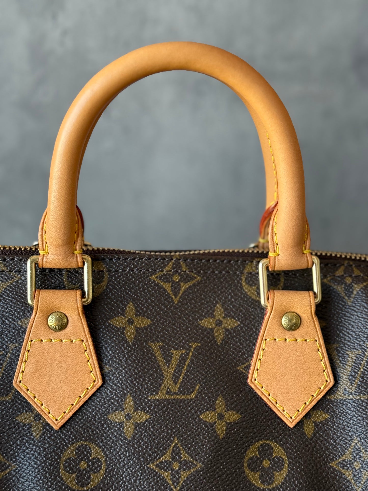 LV Speedy 25 Monogram