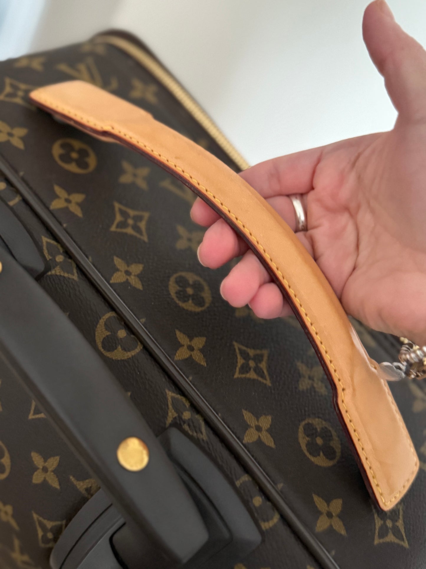 LV Pegase 45 Rolling Luggage