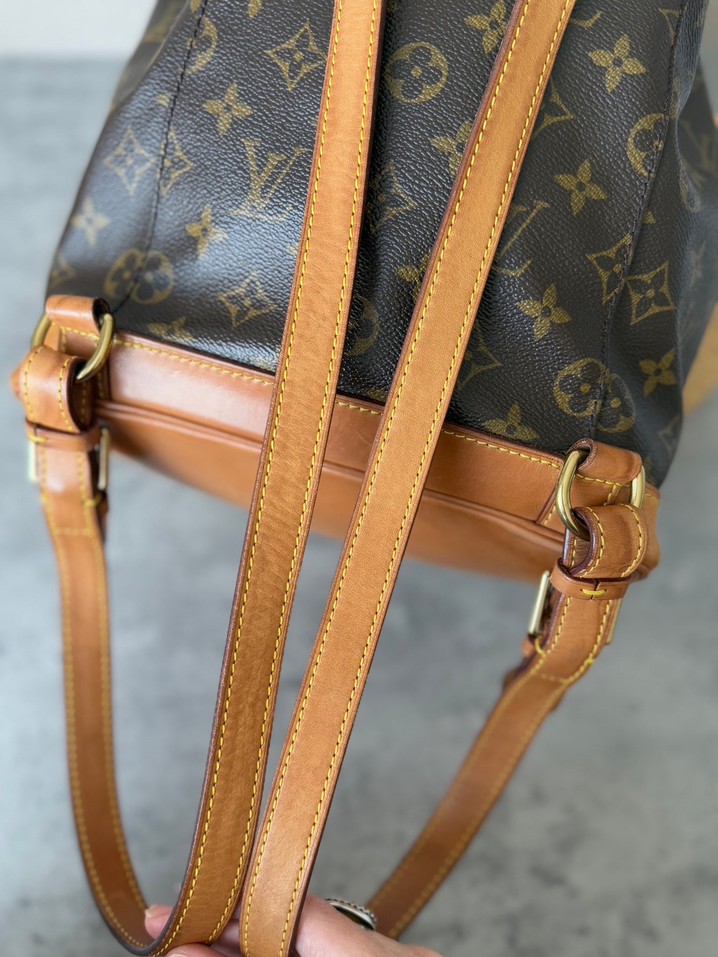 LV Montsouris MM Backpack