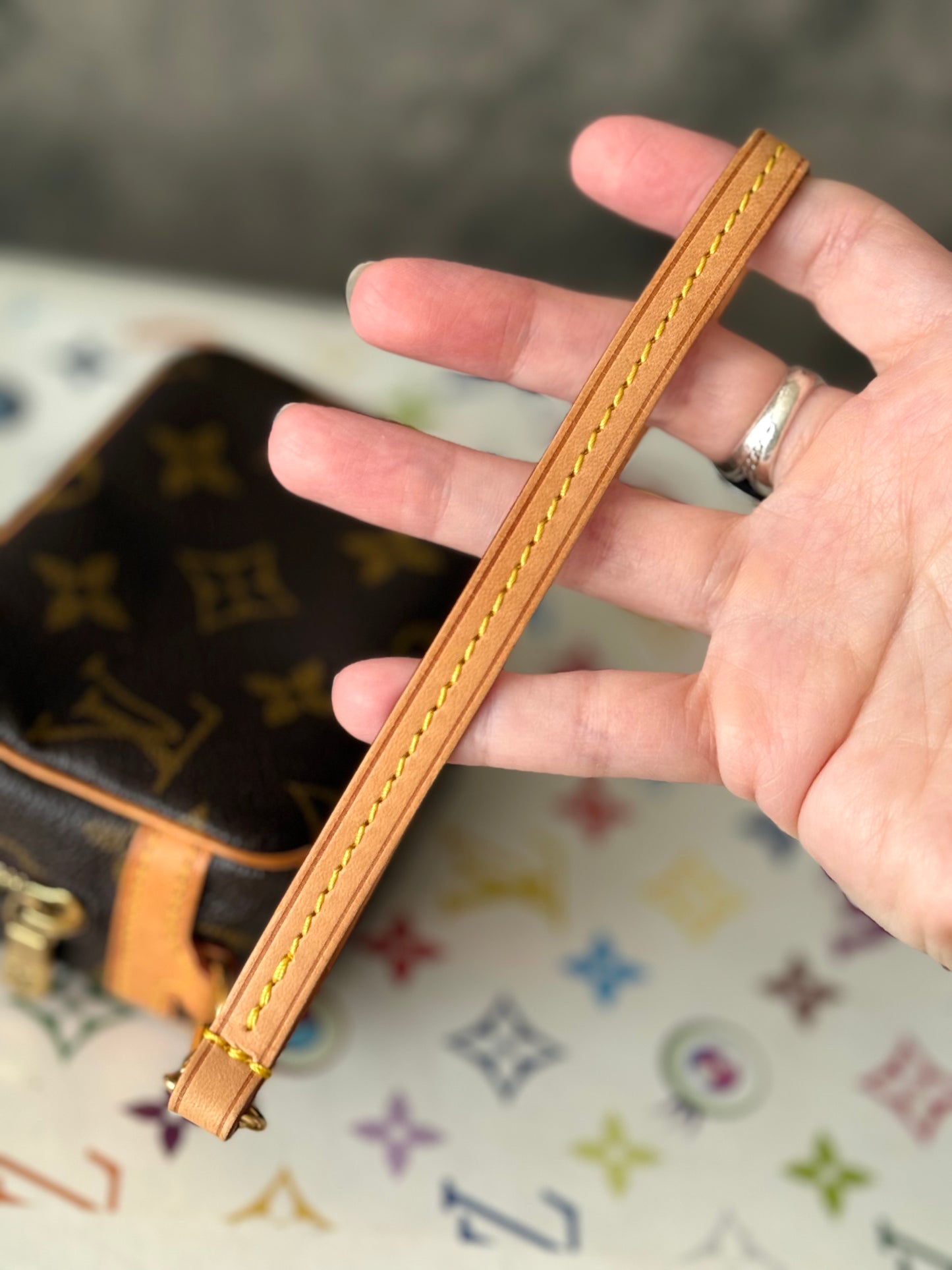 LV Wapity Pouch