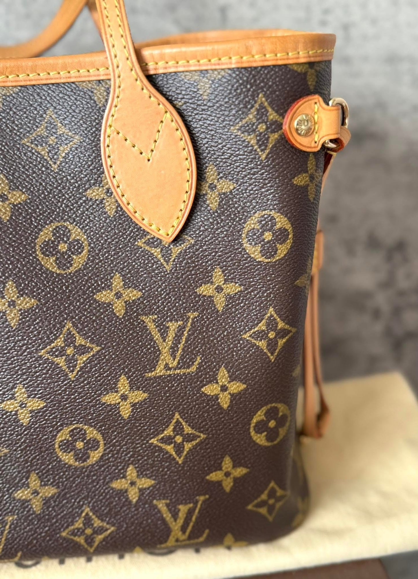LV Neverfull PM Monigram