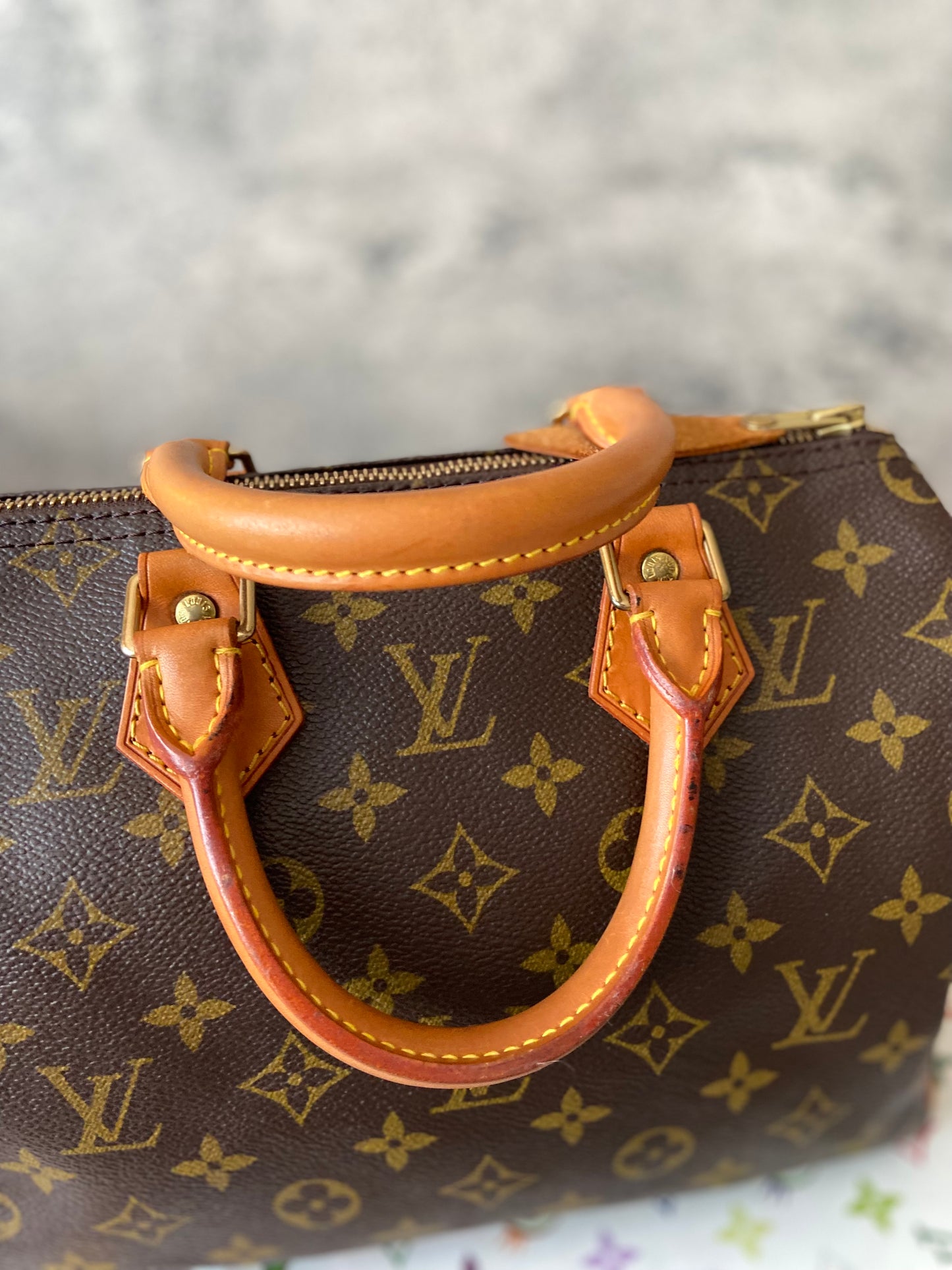 LV Speedy 25 Monogram