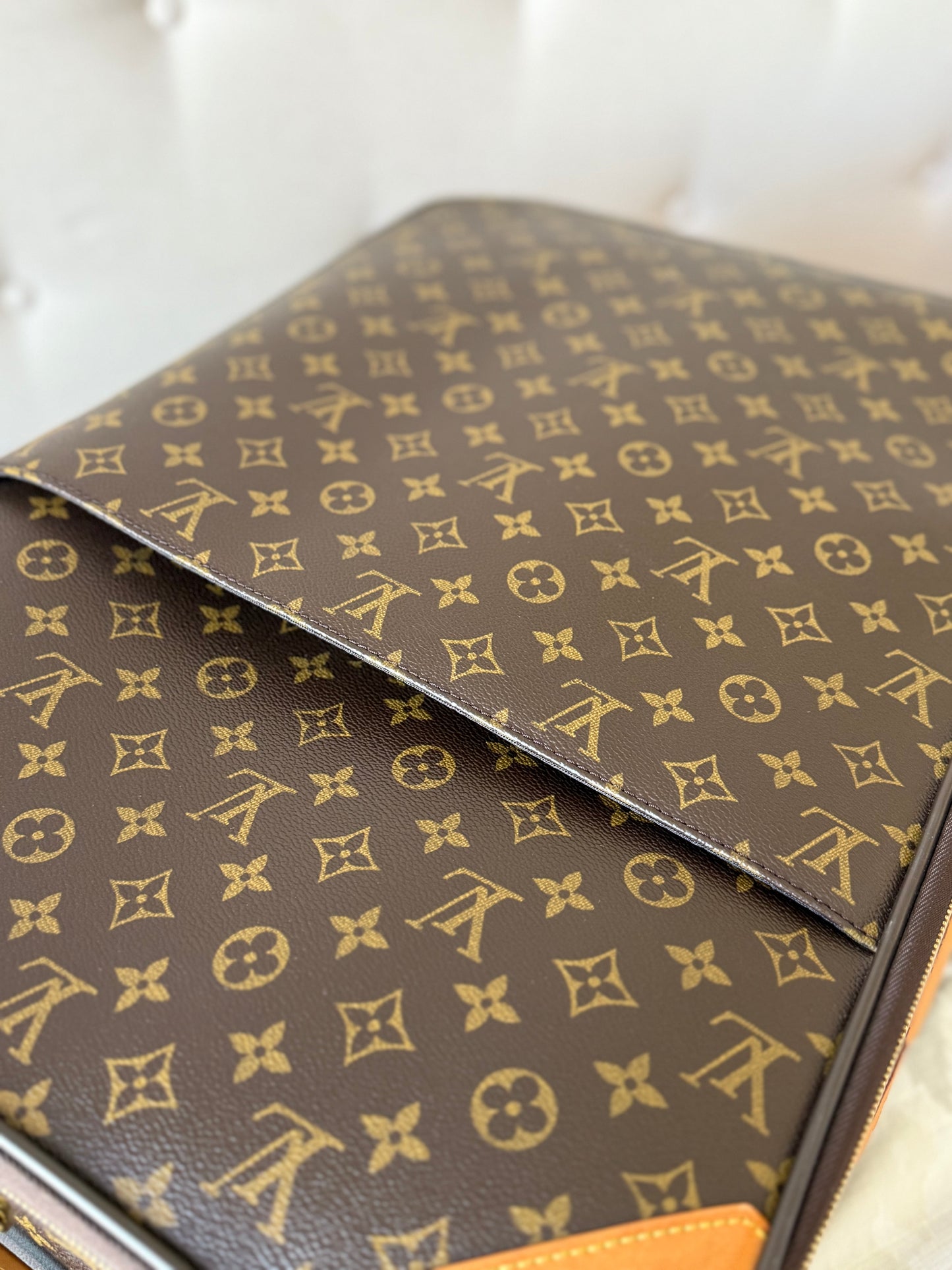 LV Pegase 55 Rolling Luggage