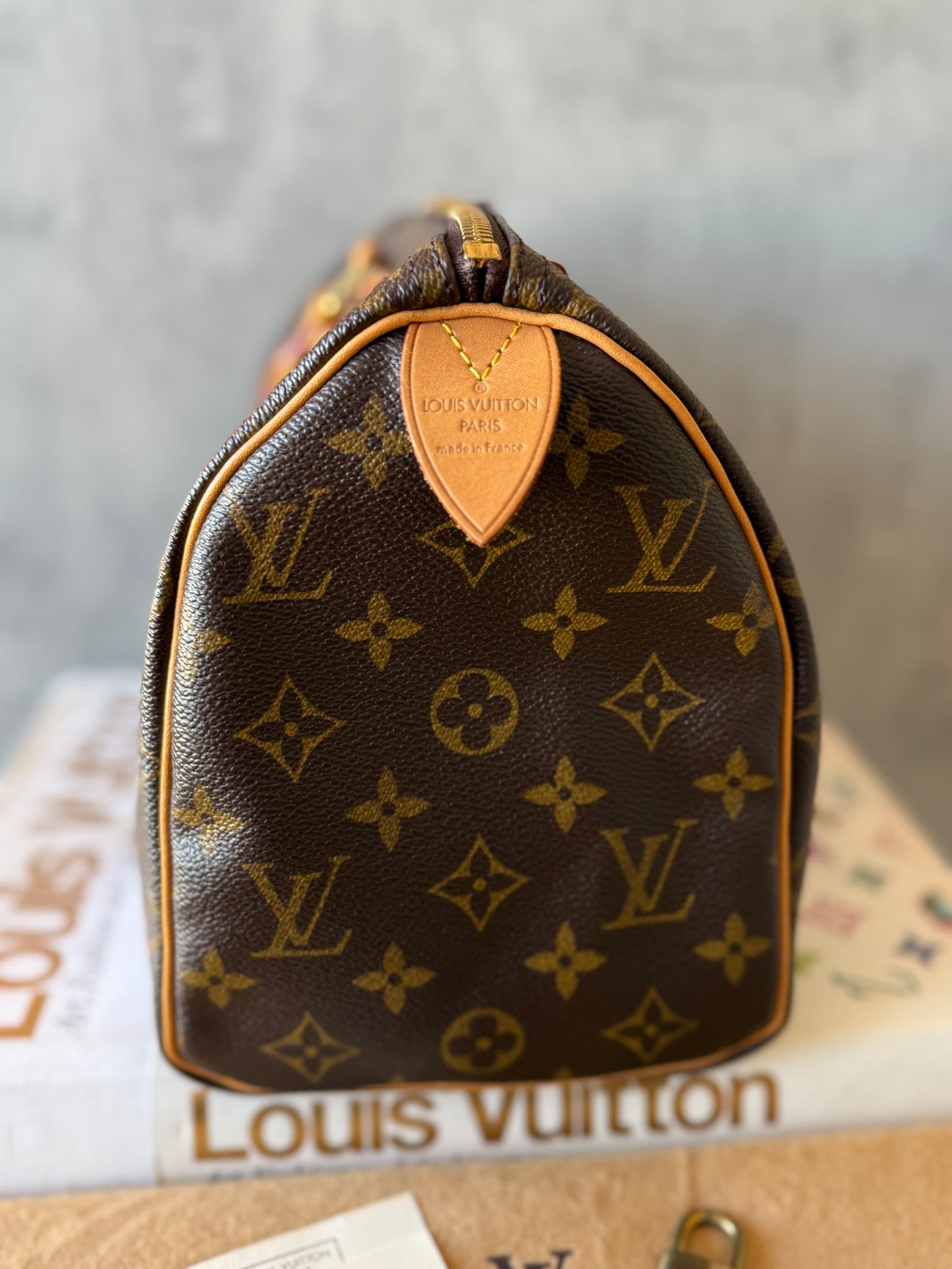 LV Speedy 25 Monogram