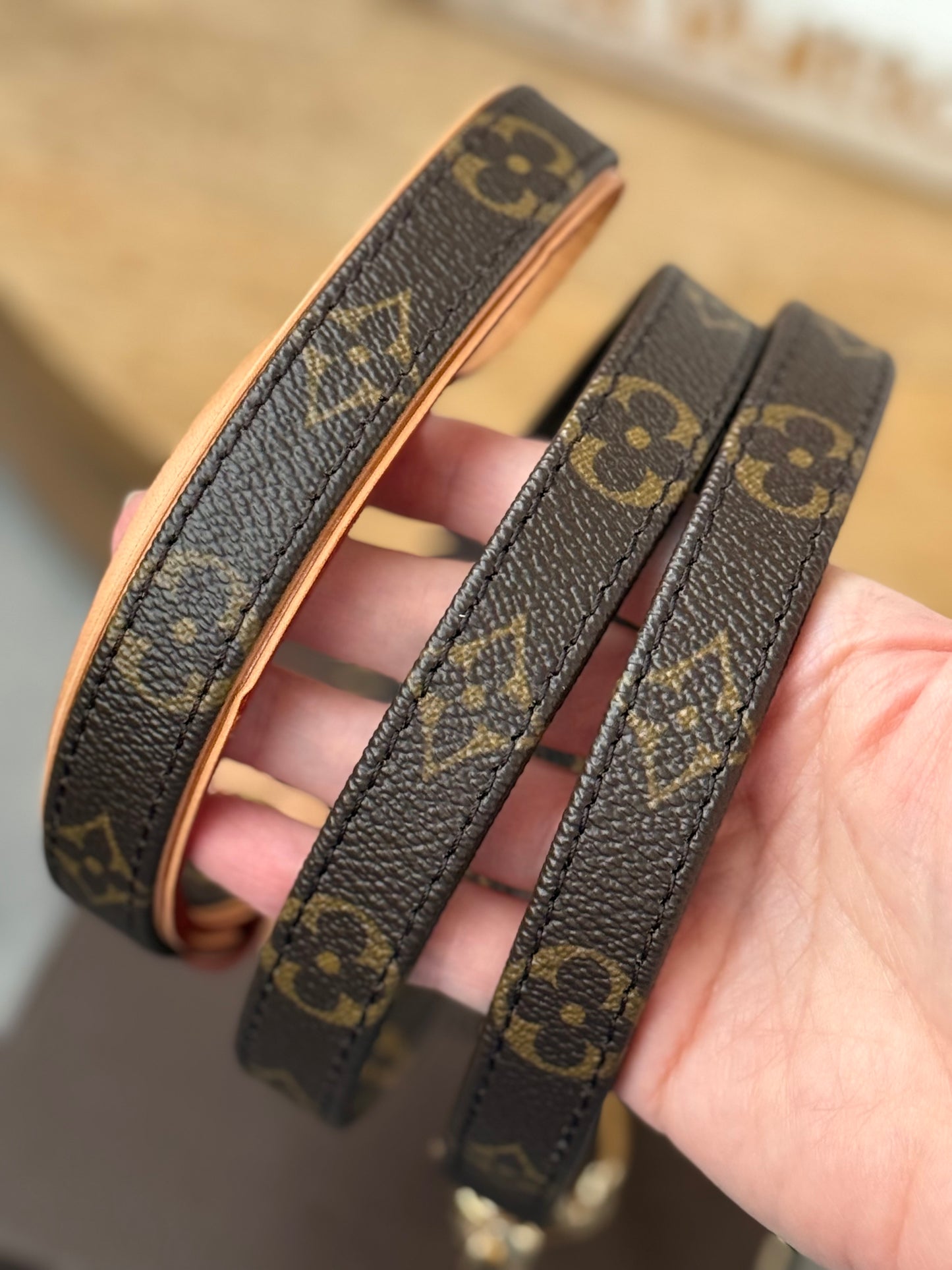 LV Collar PM with Monogram Leash