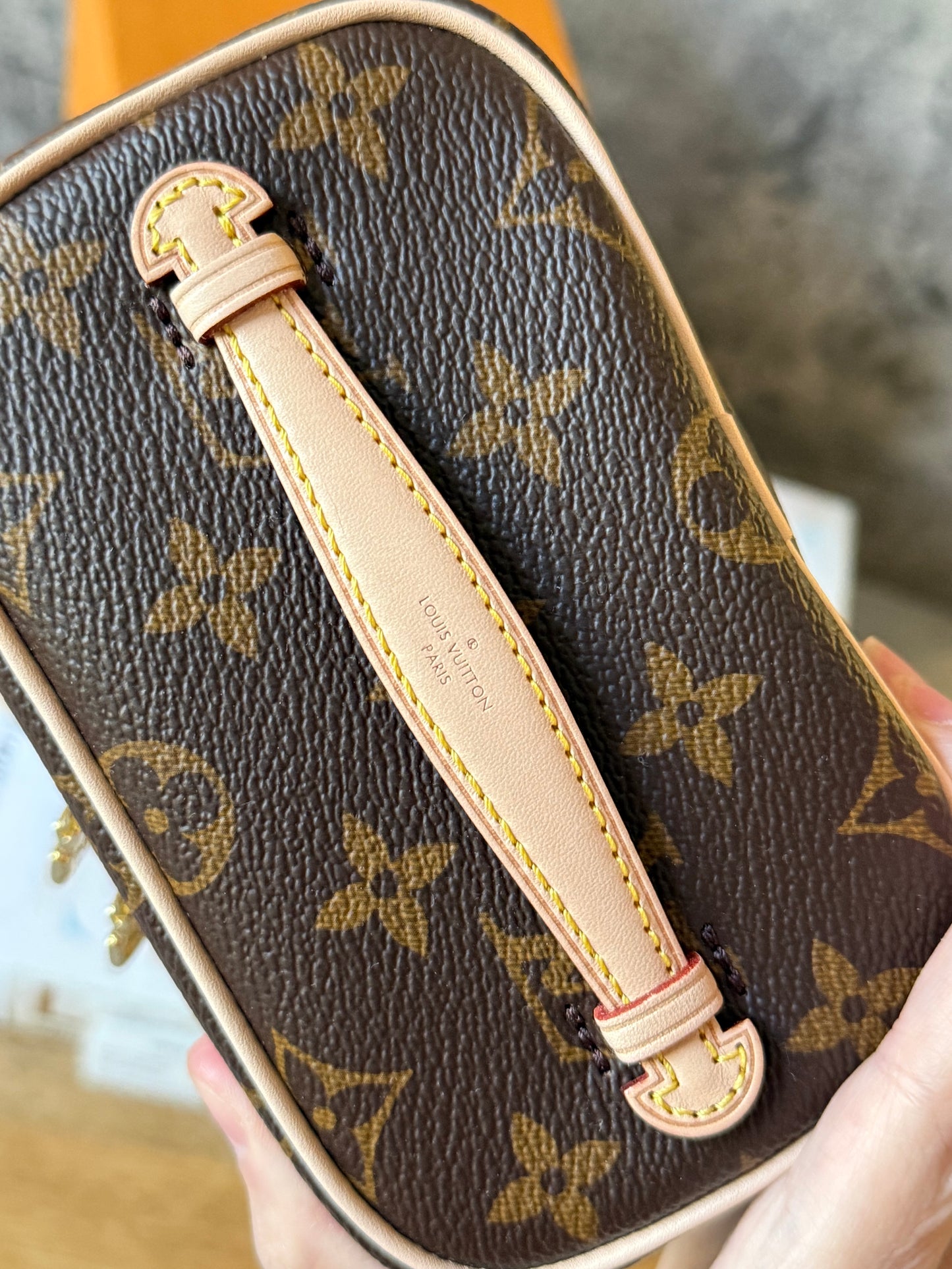 LV Nice Nano Monogram
