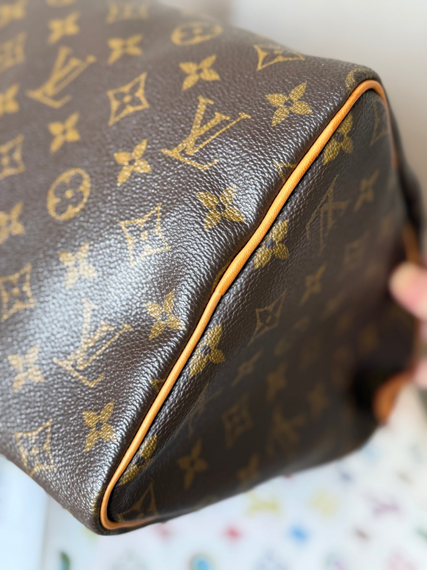 LV Speedy 30 Monogram