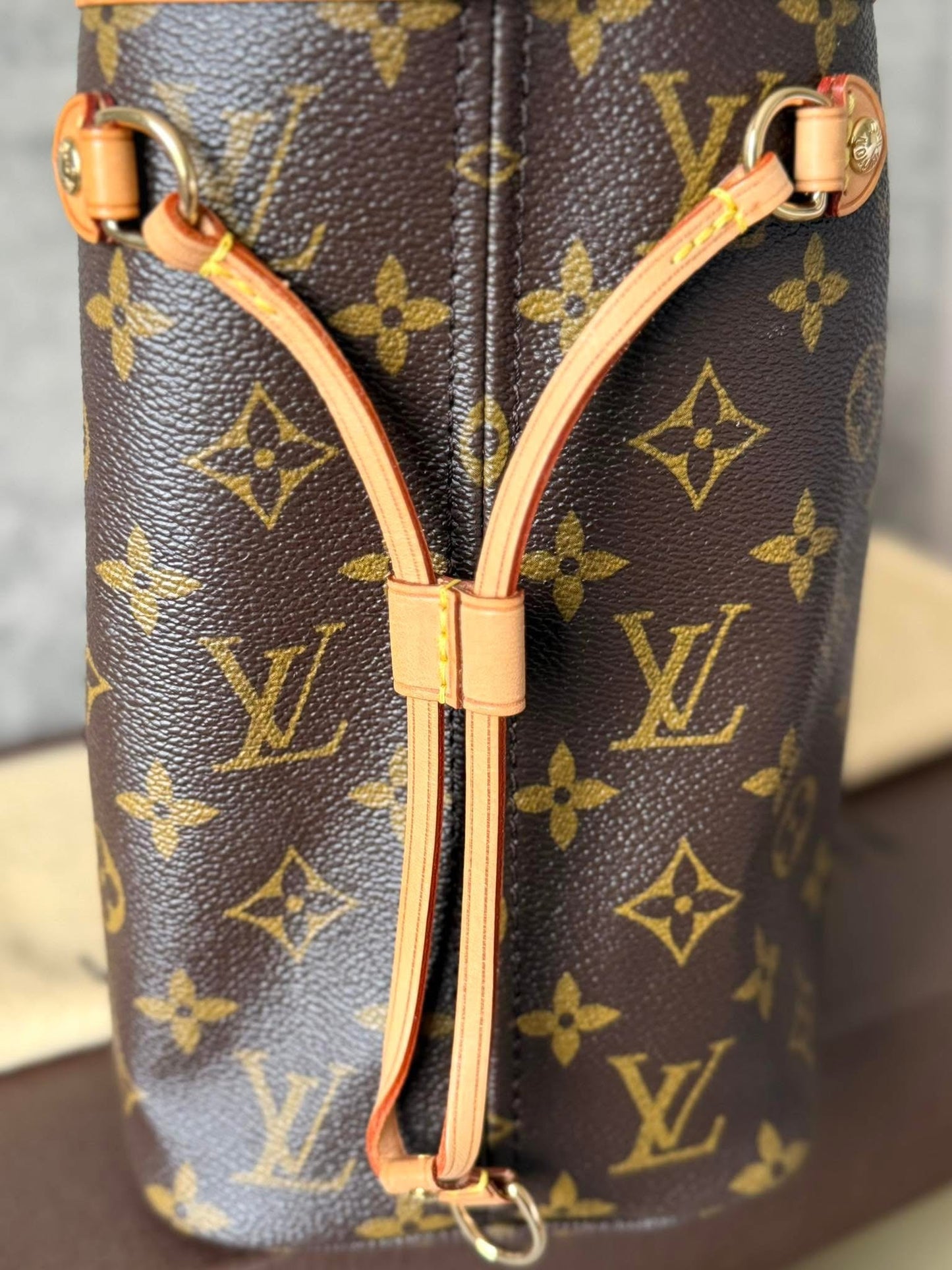 LV Neverfull PM Monigram