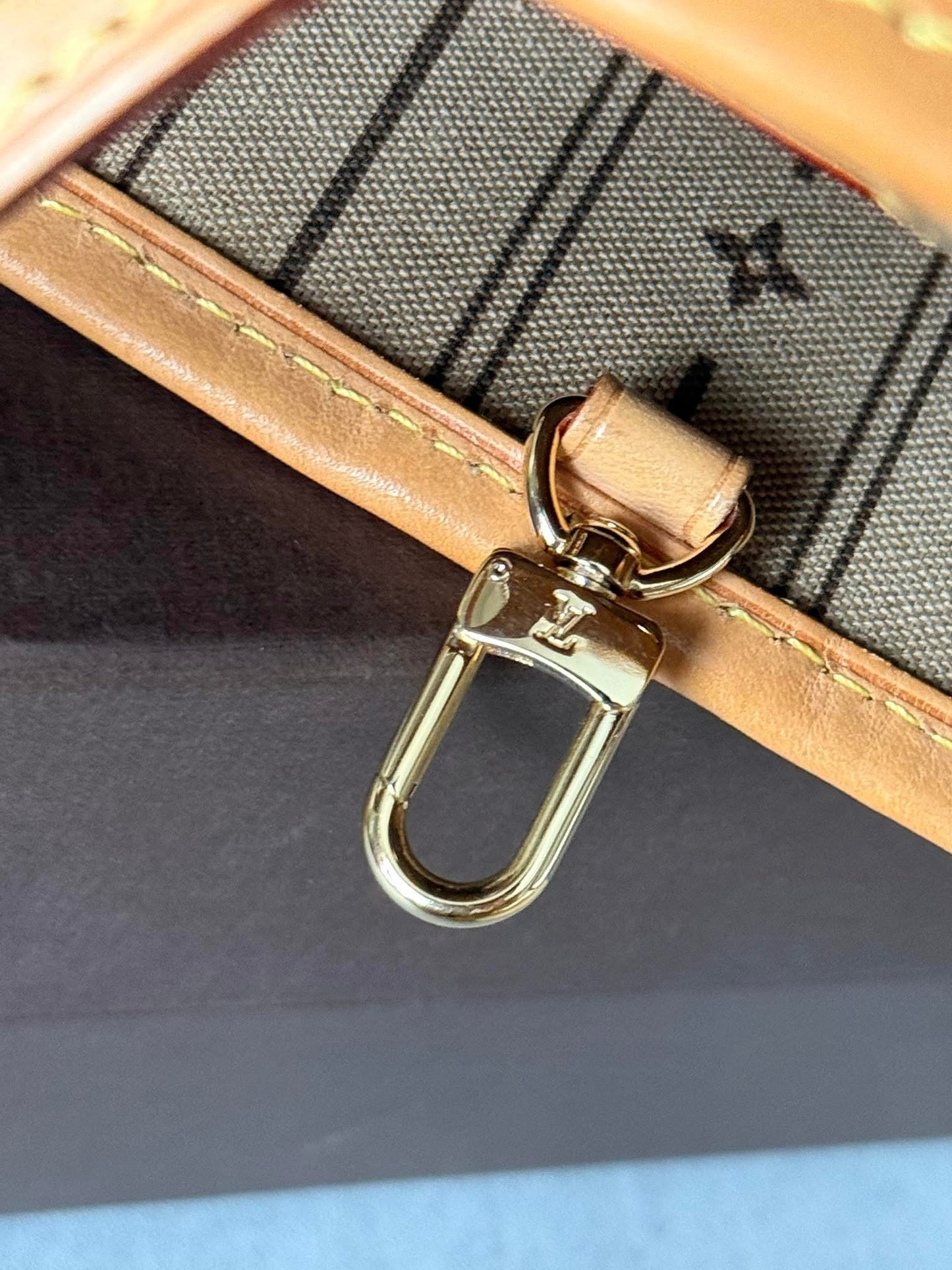 LV Neverfull PM Monigram