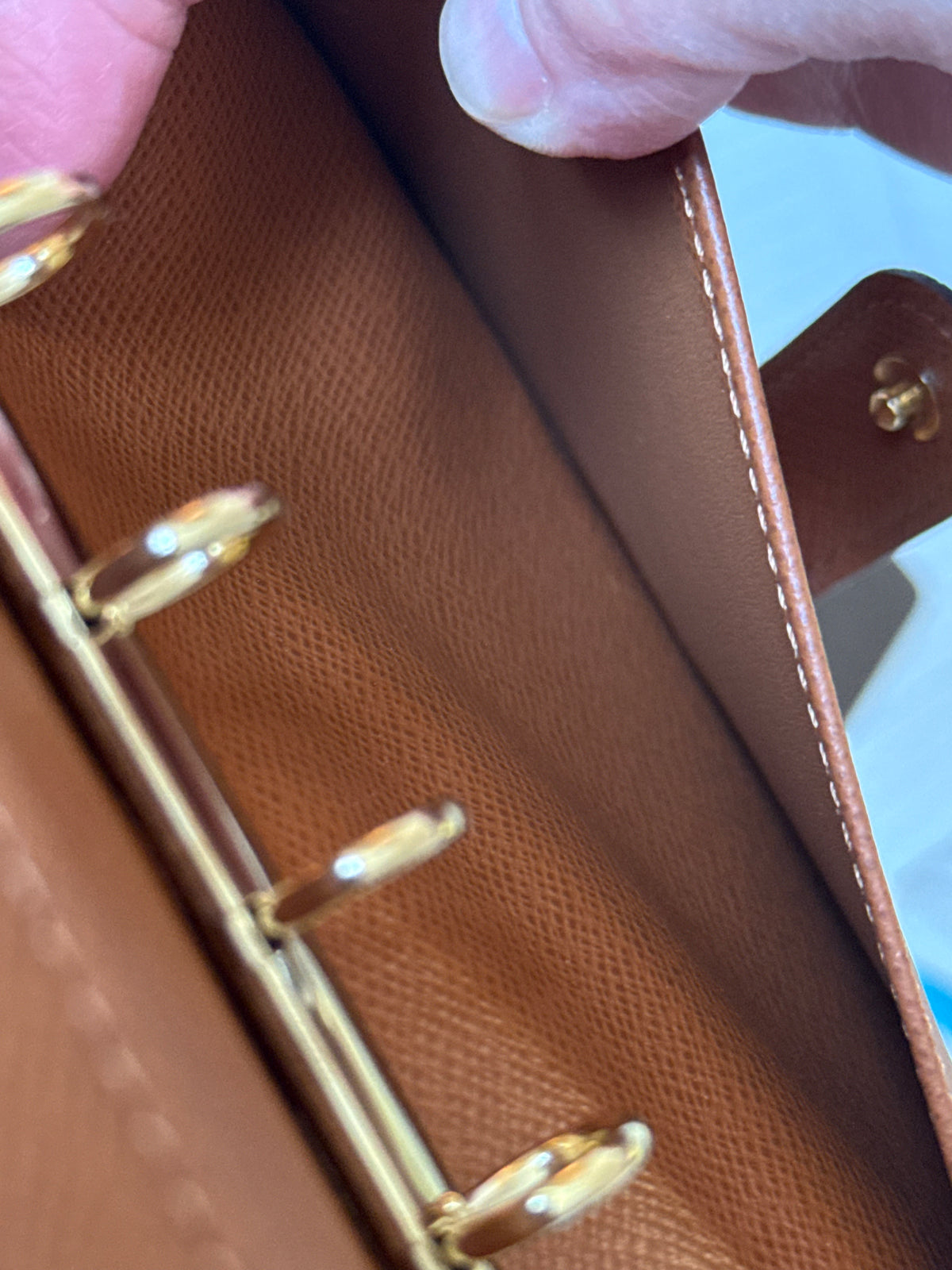 LV Agenda PM Trunk Limited Ed.