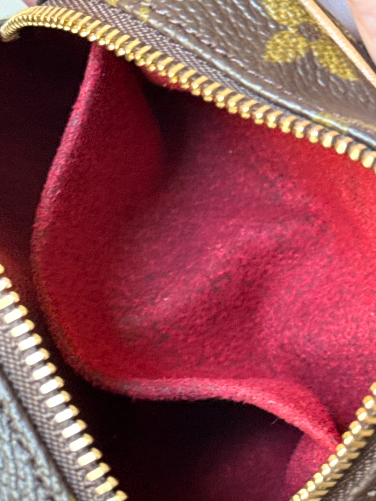 LV Wapity Pouch