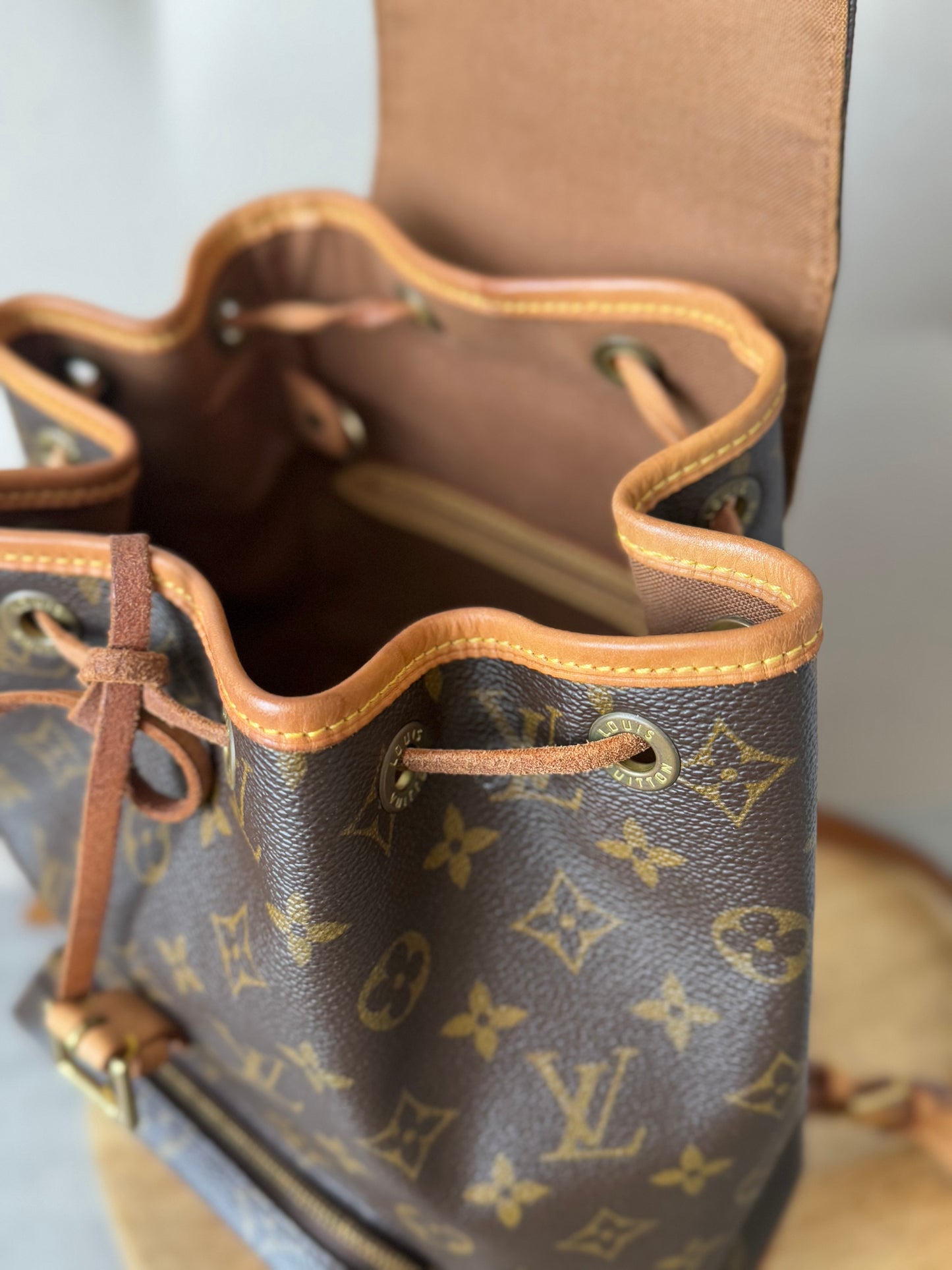 LV Montsouris MM Backpack