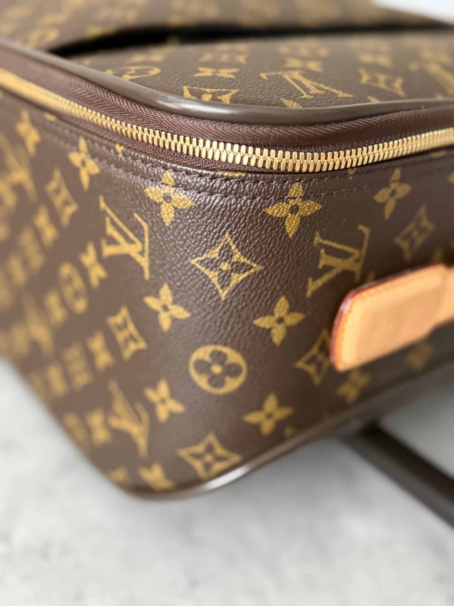 LV Pegase 45 Rolling Luggage