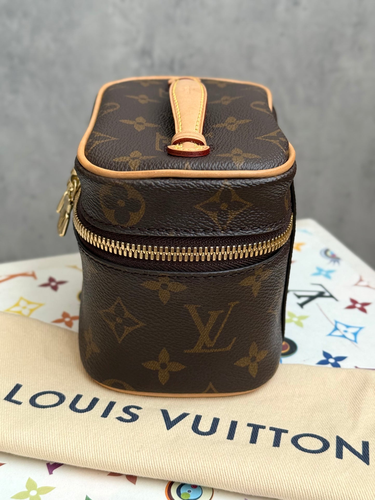 LV Nice Nano Case