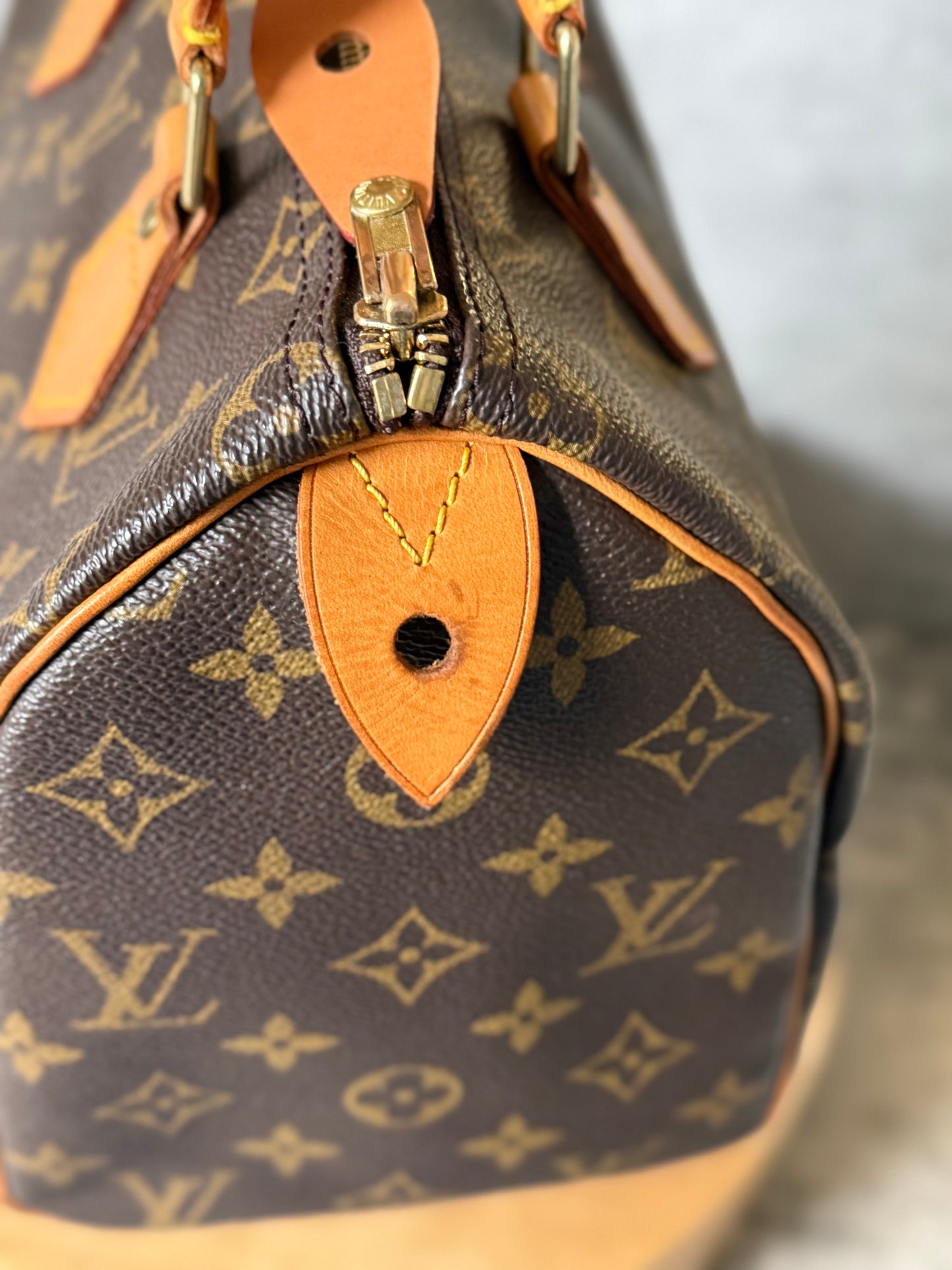 Louis Vuitton Speedy 25 Monogram