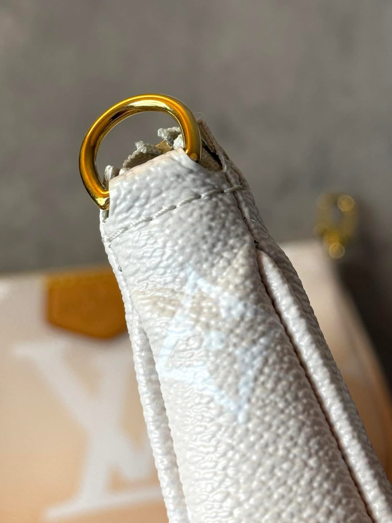 LV Multi Pochette By The Pool