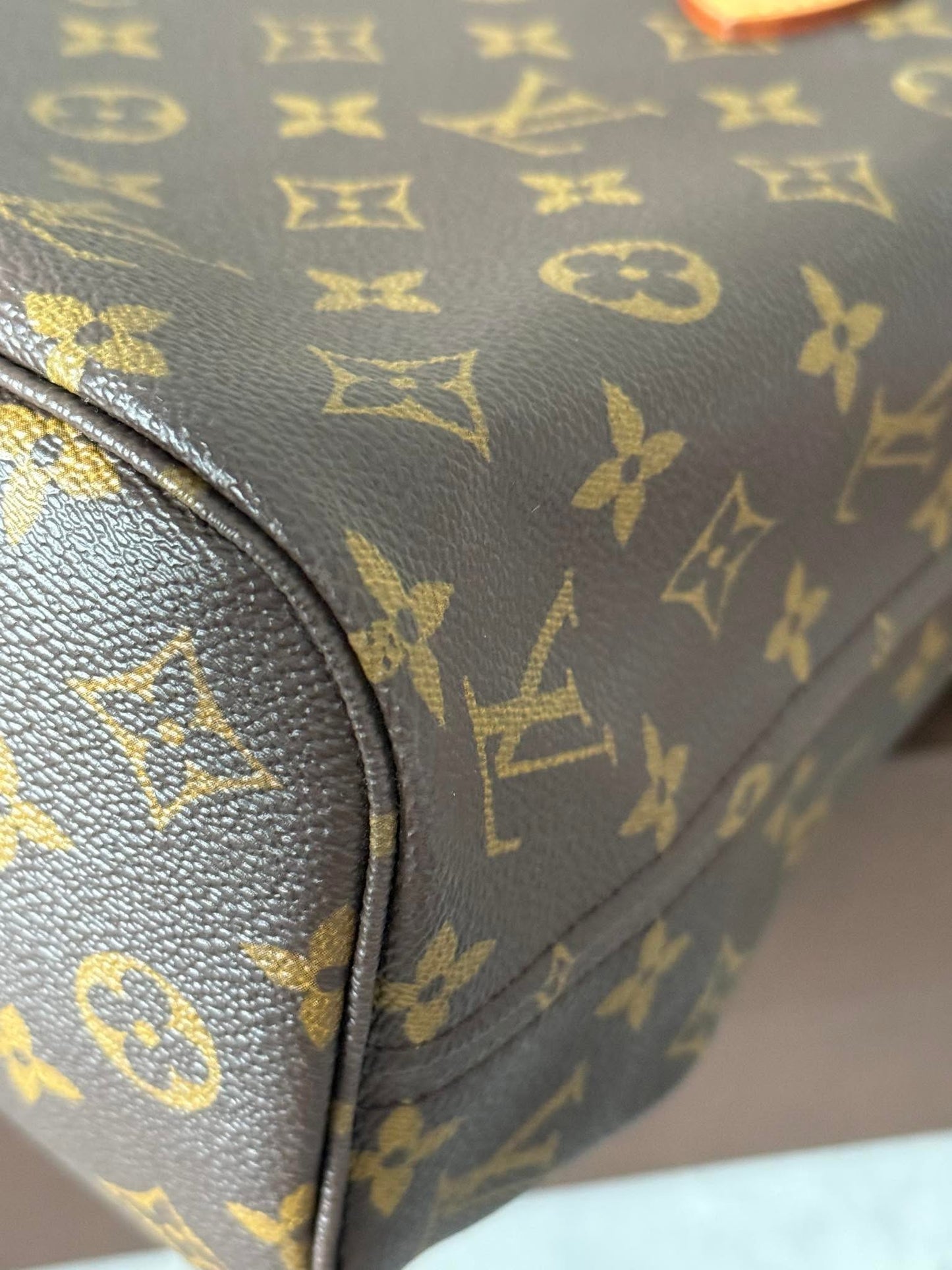 LV Neverfull PM Monigram