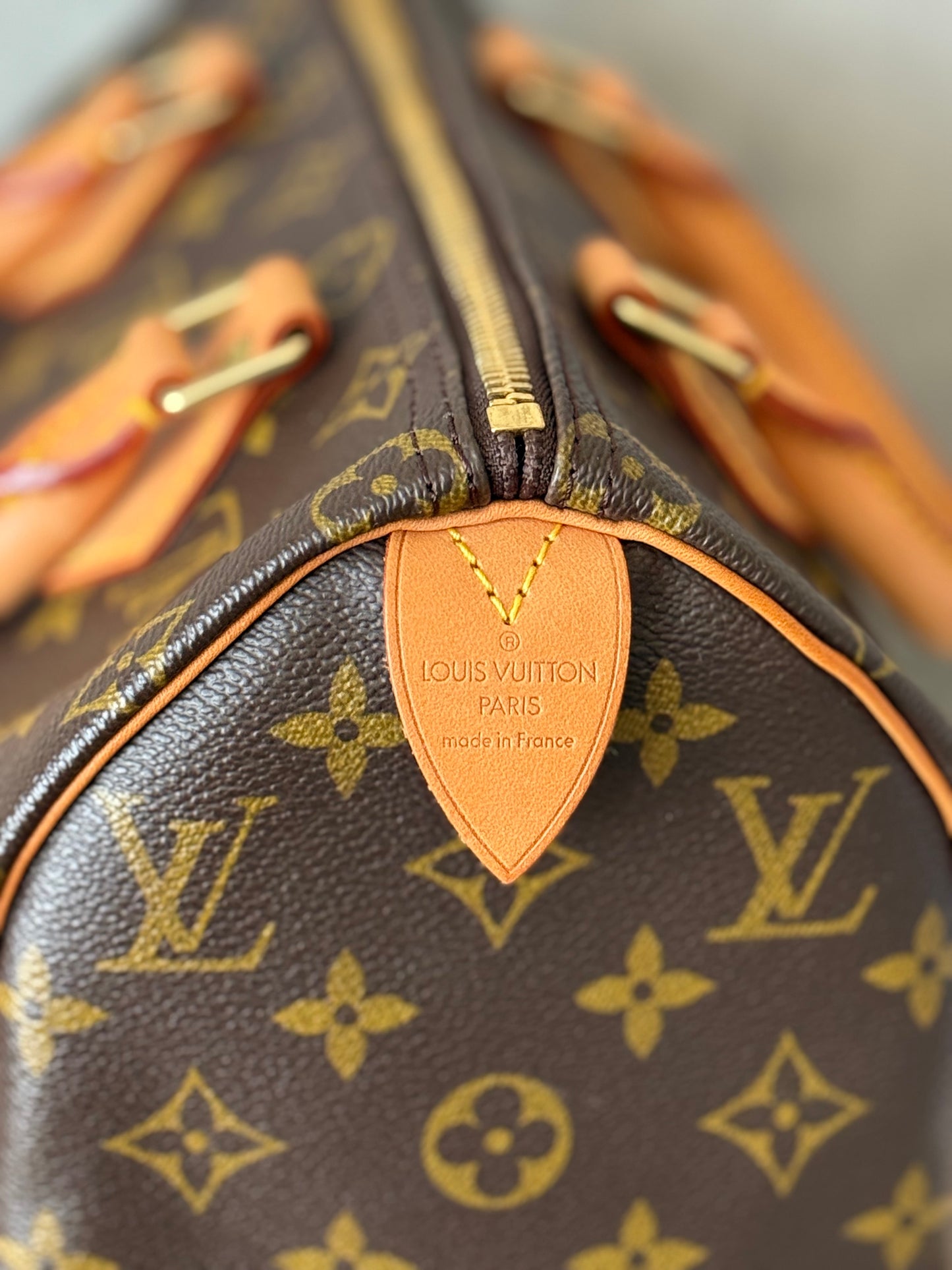 LV Speedy 25 Monogram
