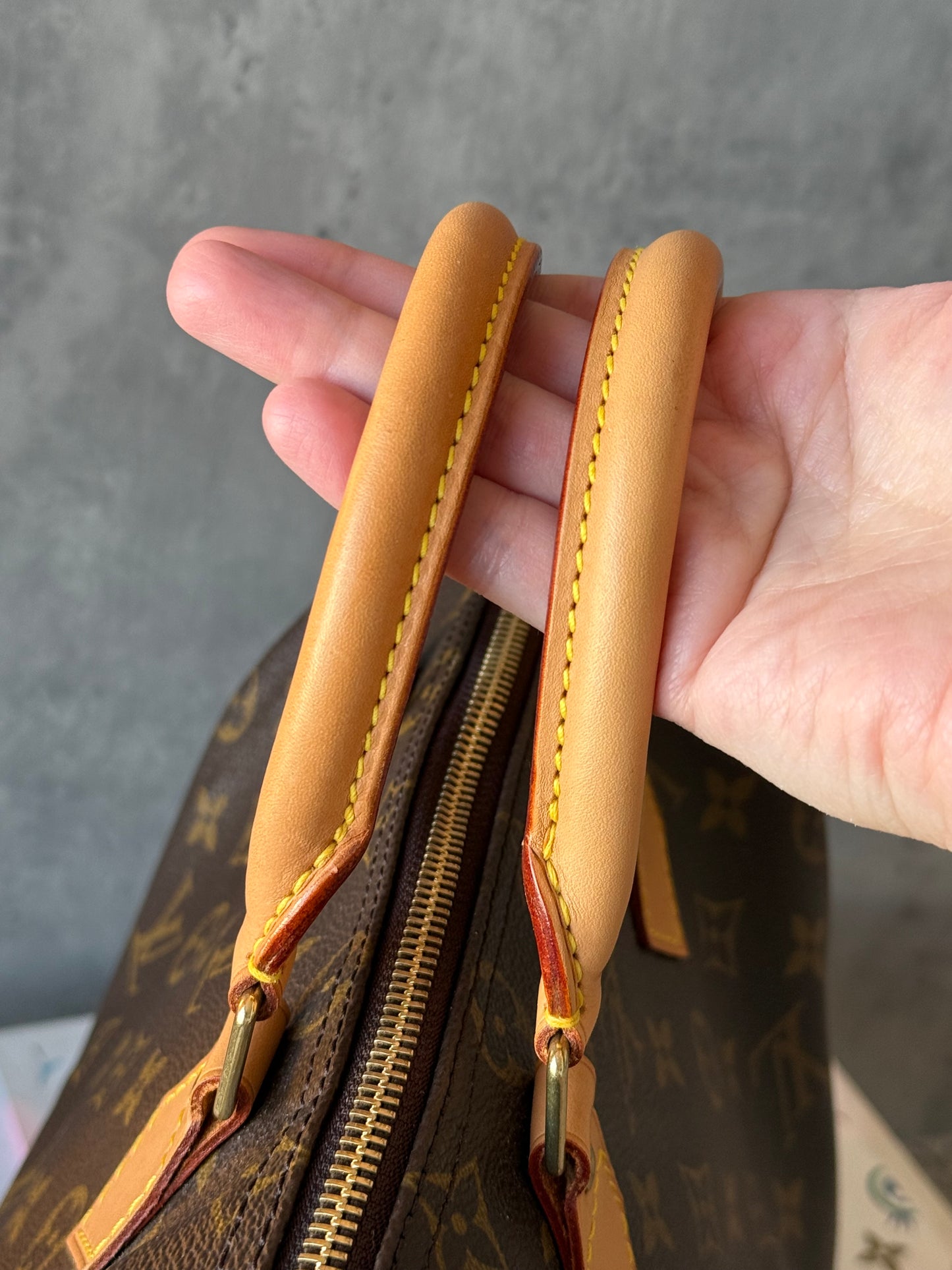 LV Speedy 25 Monogram