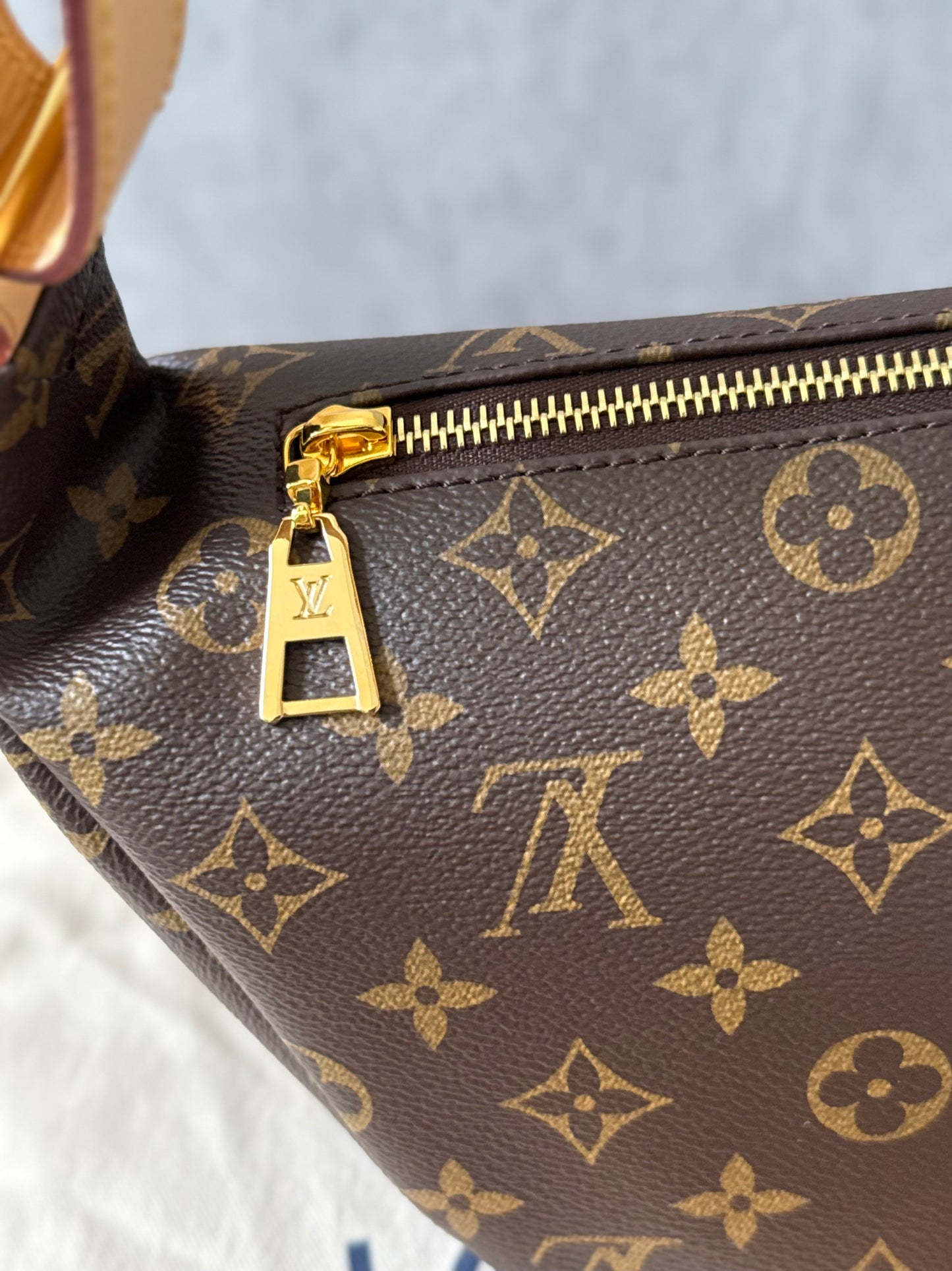 LV Bumbag MM Monogram