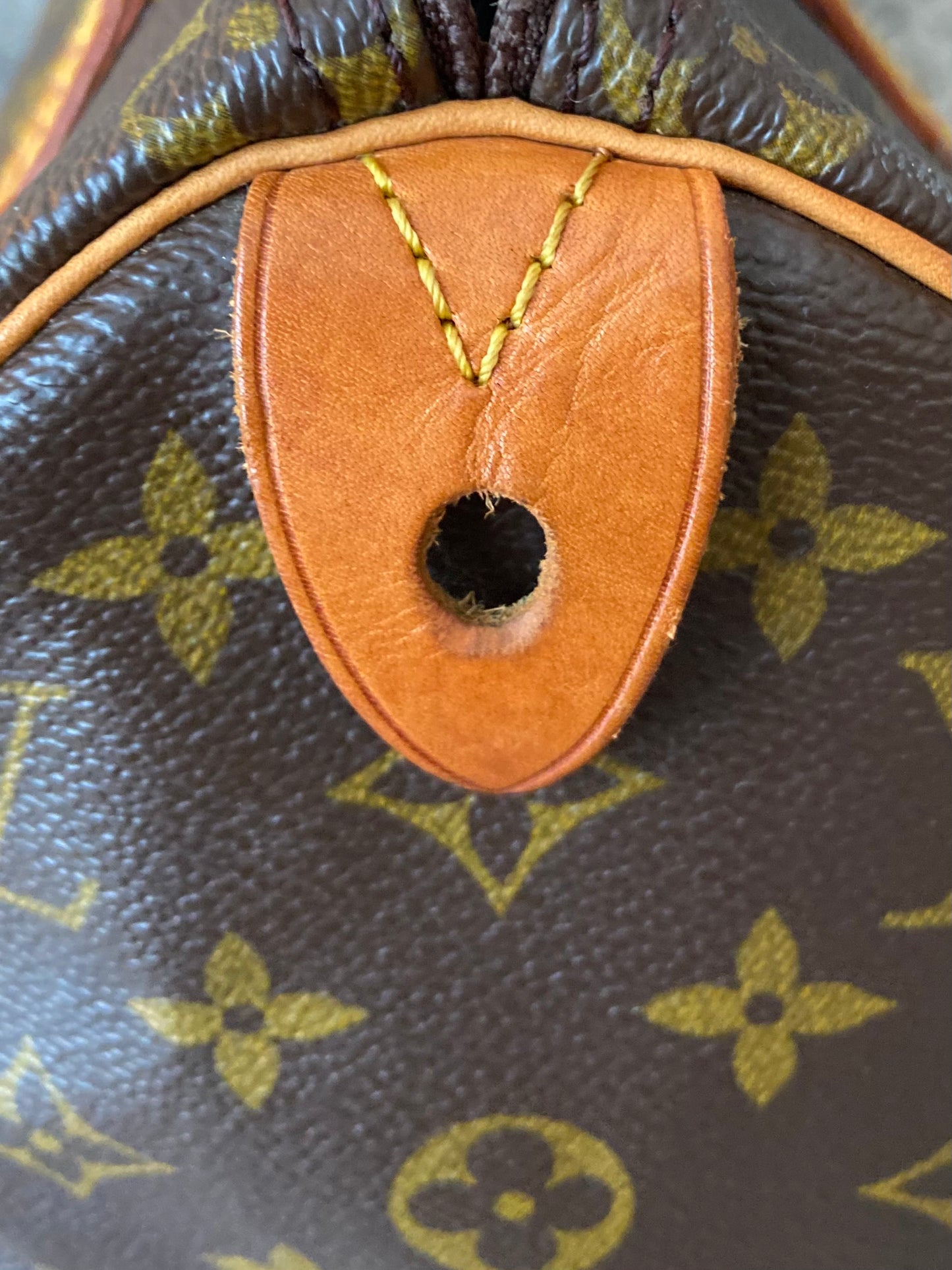LV Speedy 25 Monogram