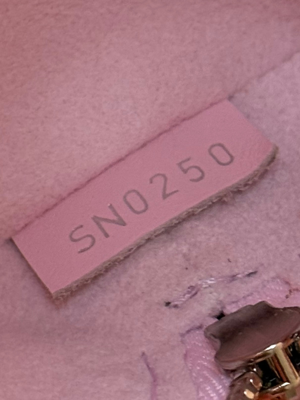 LV Elizabeth Pencil Pouch Pastel