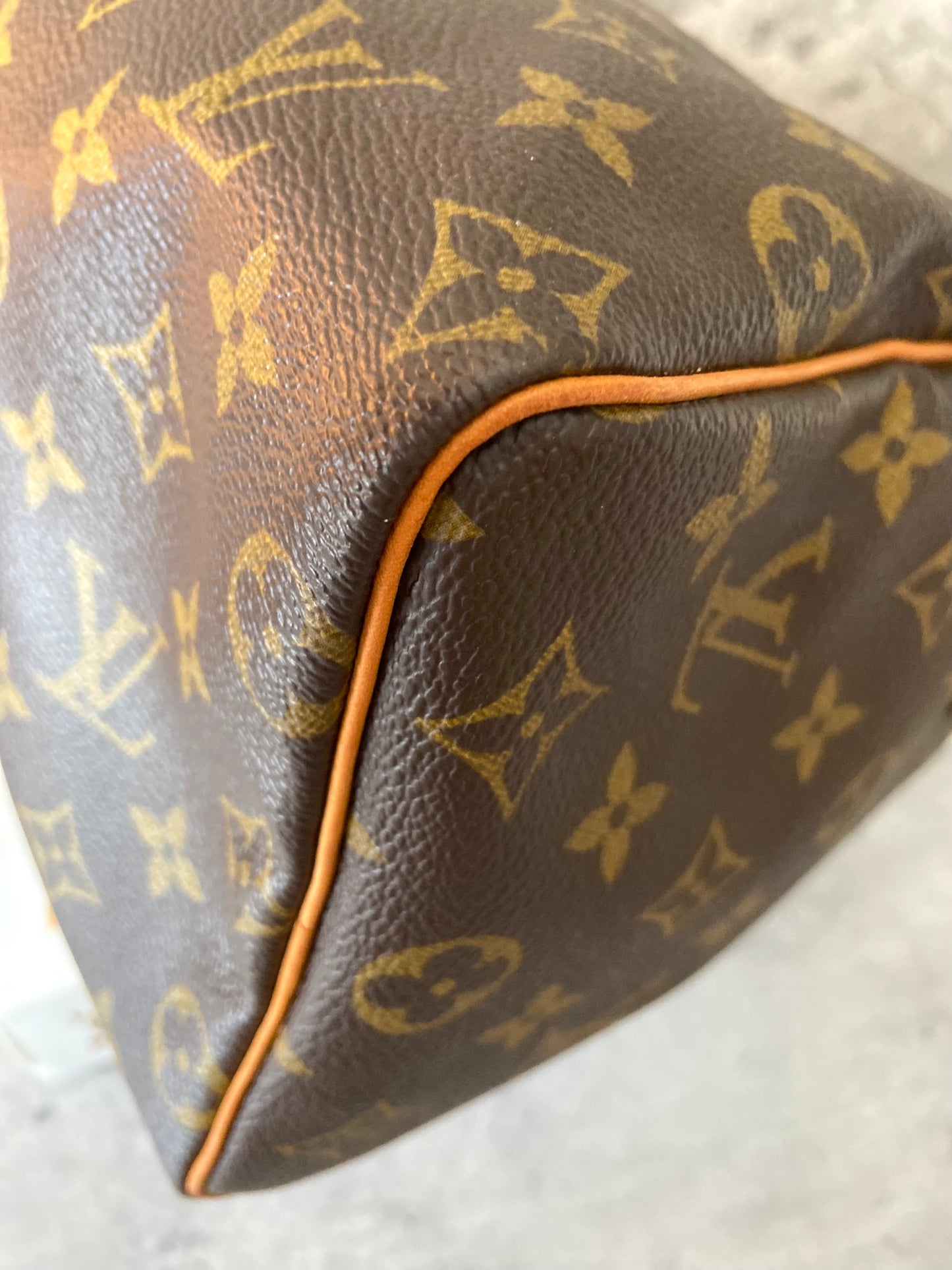 LV Speedy 25 Monogram