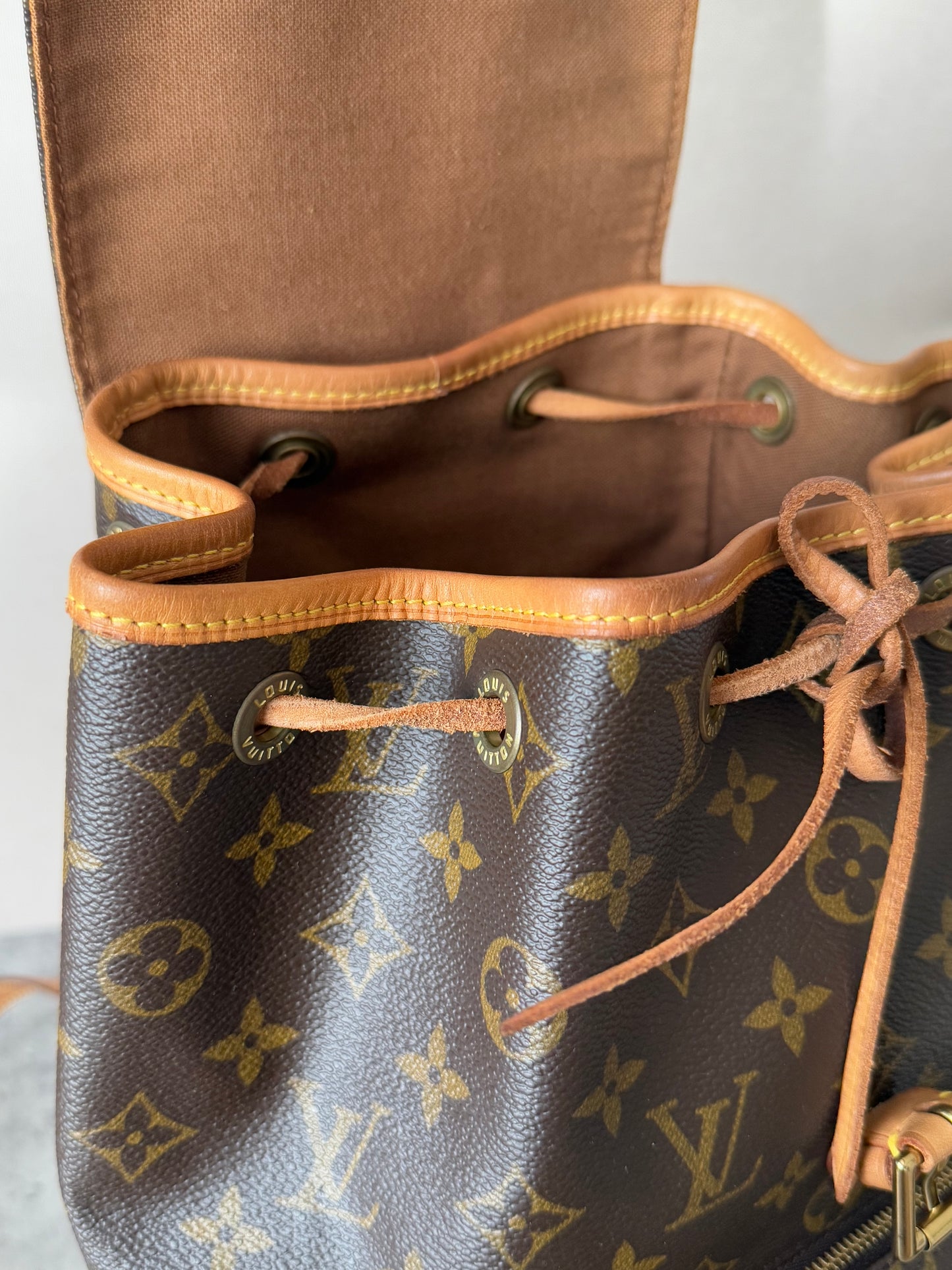 LV Montsouris MM Backpack