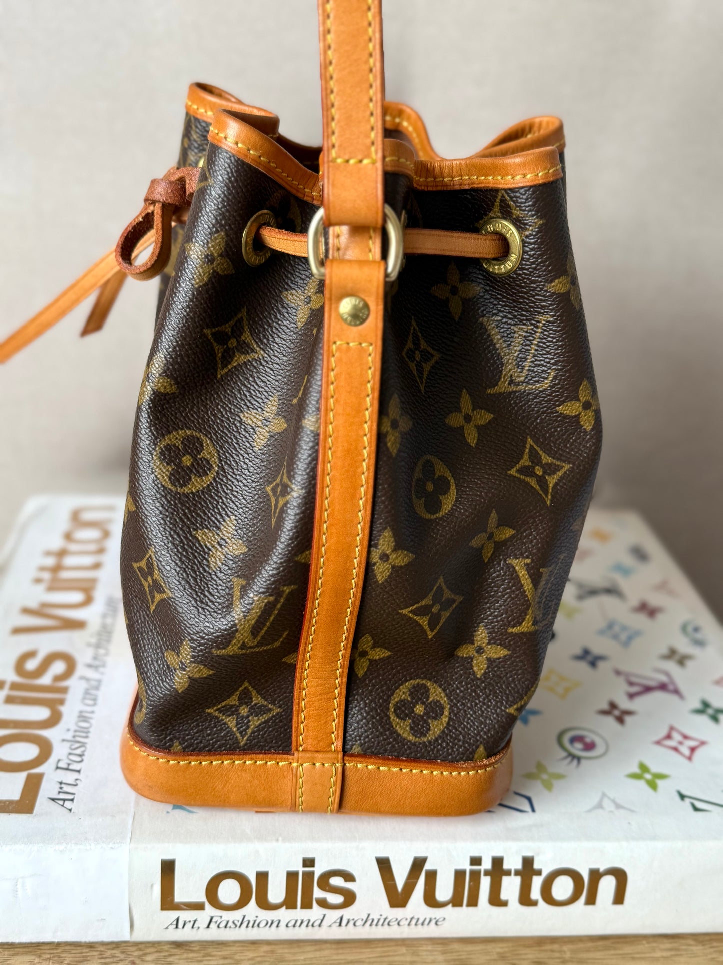 LV Mini Noe