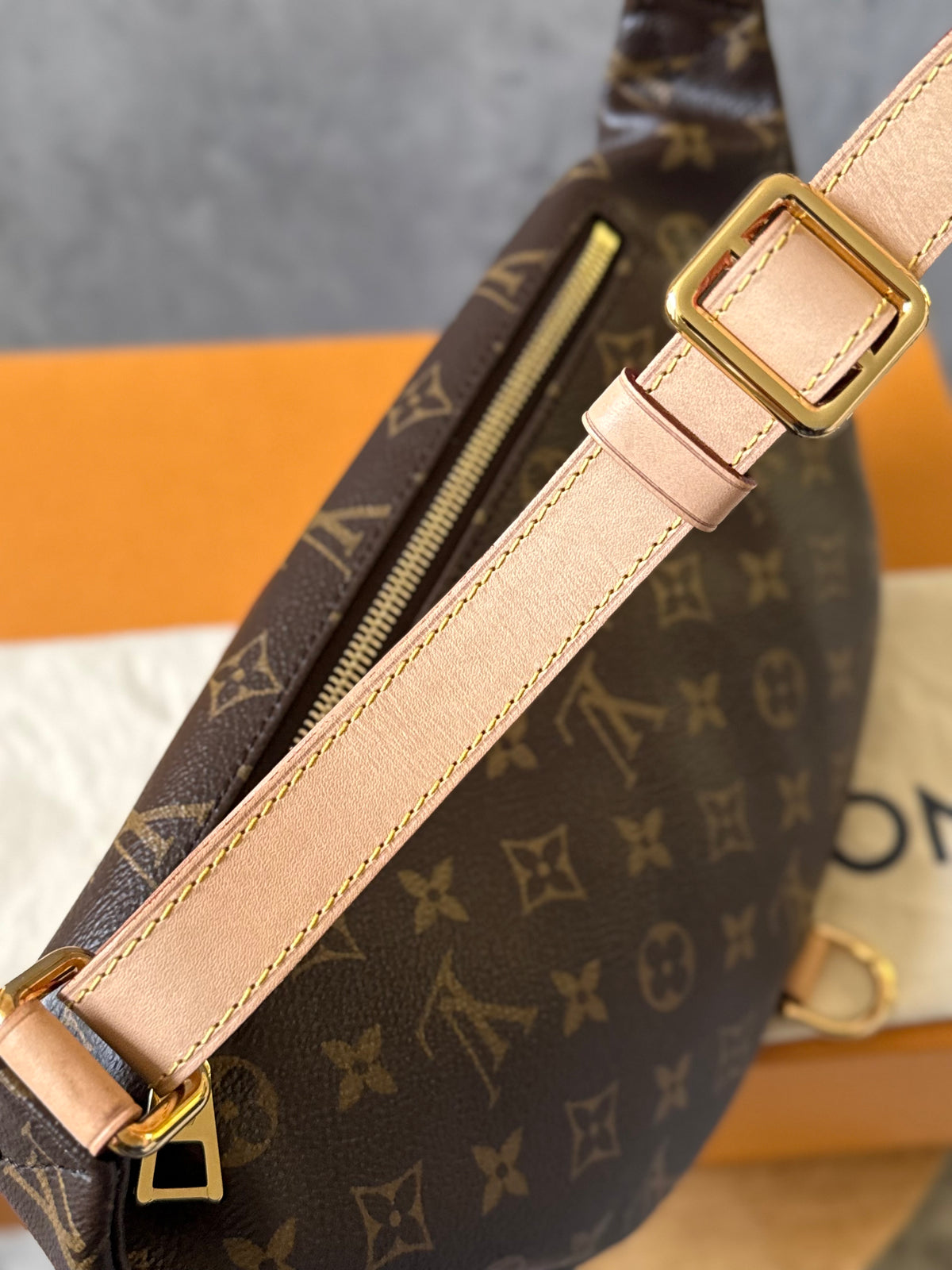 LV Bumbag MM monogram