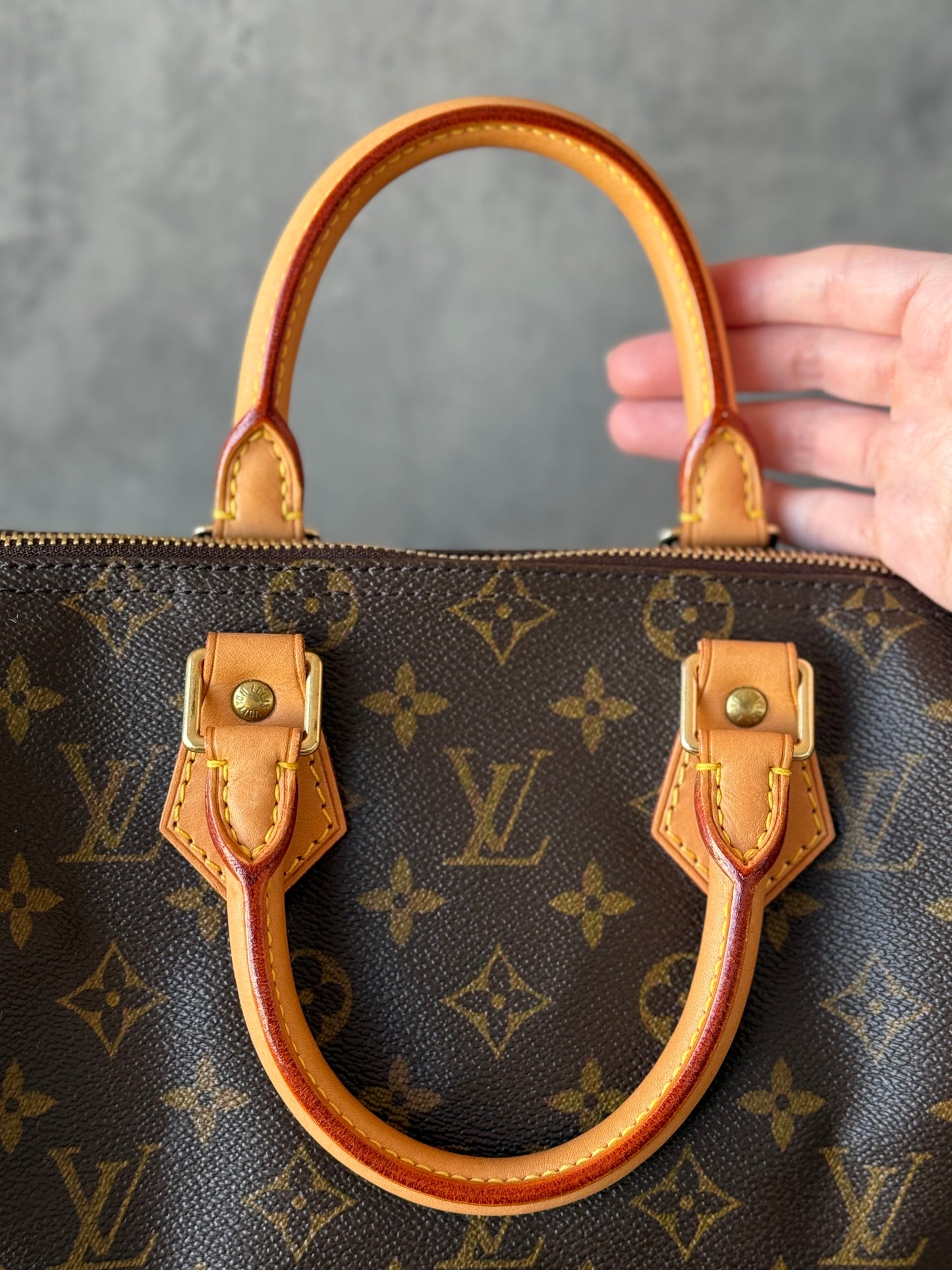 LV Speedy 25 Monogram