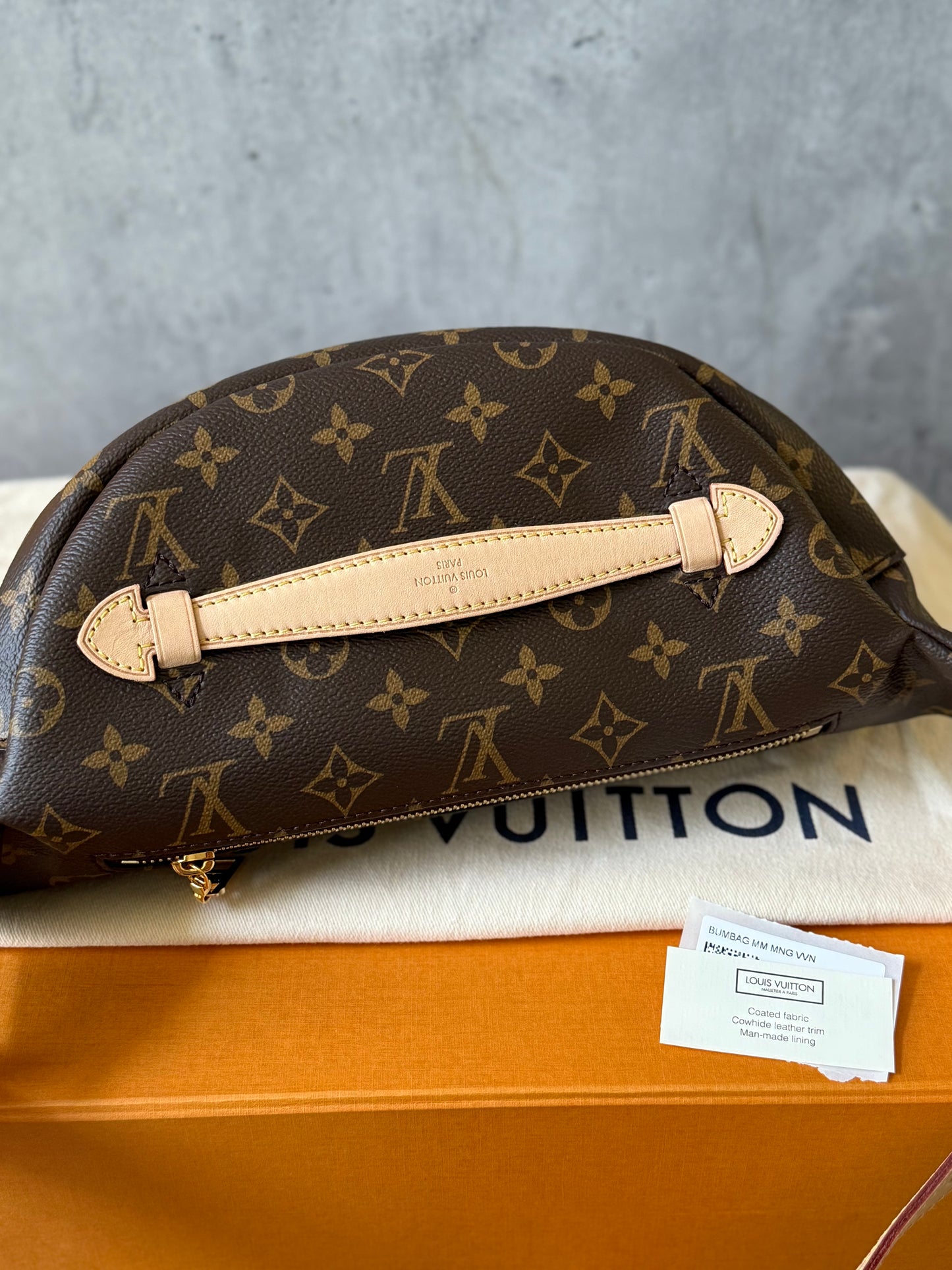 LV Bumbag MM Monogram