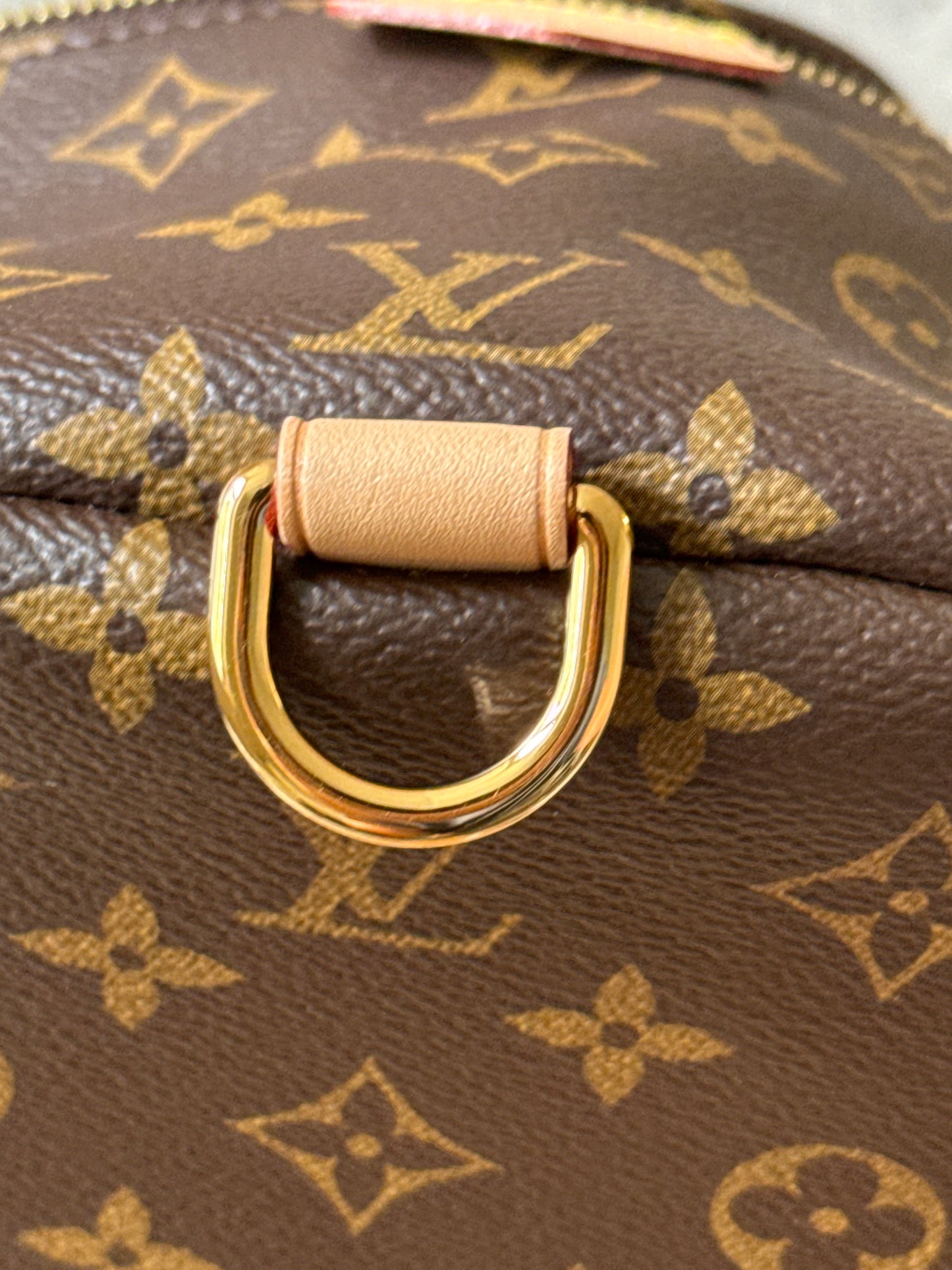 LV Bumbag MM Monogram