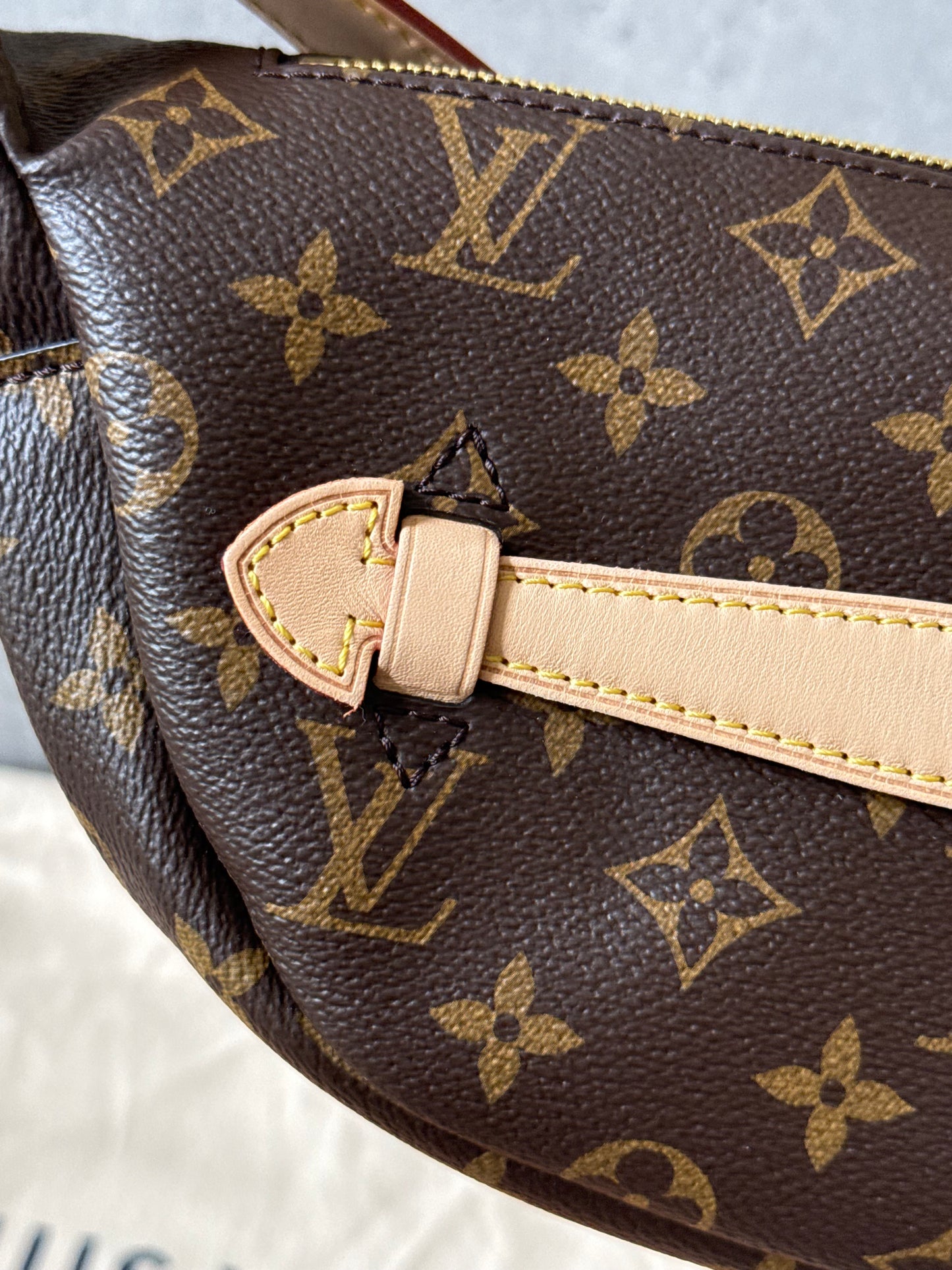 LV Bumbag MM Monogram