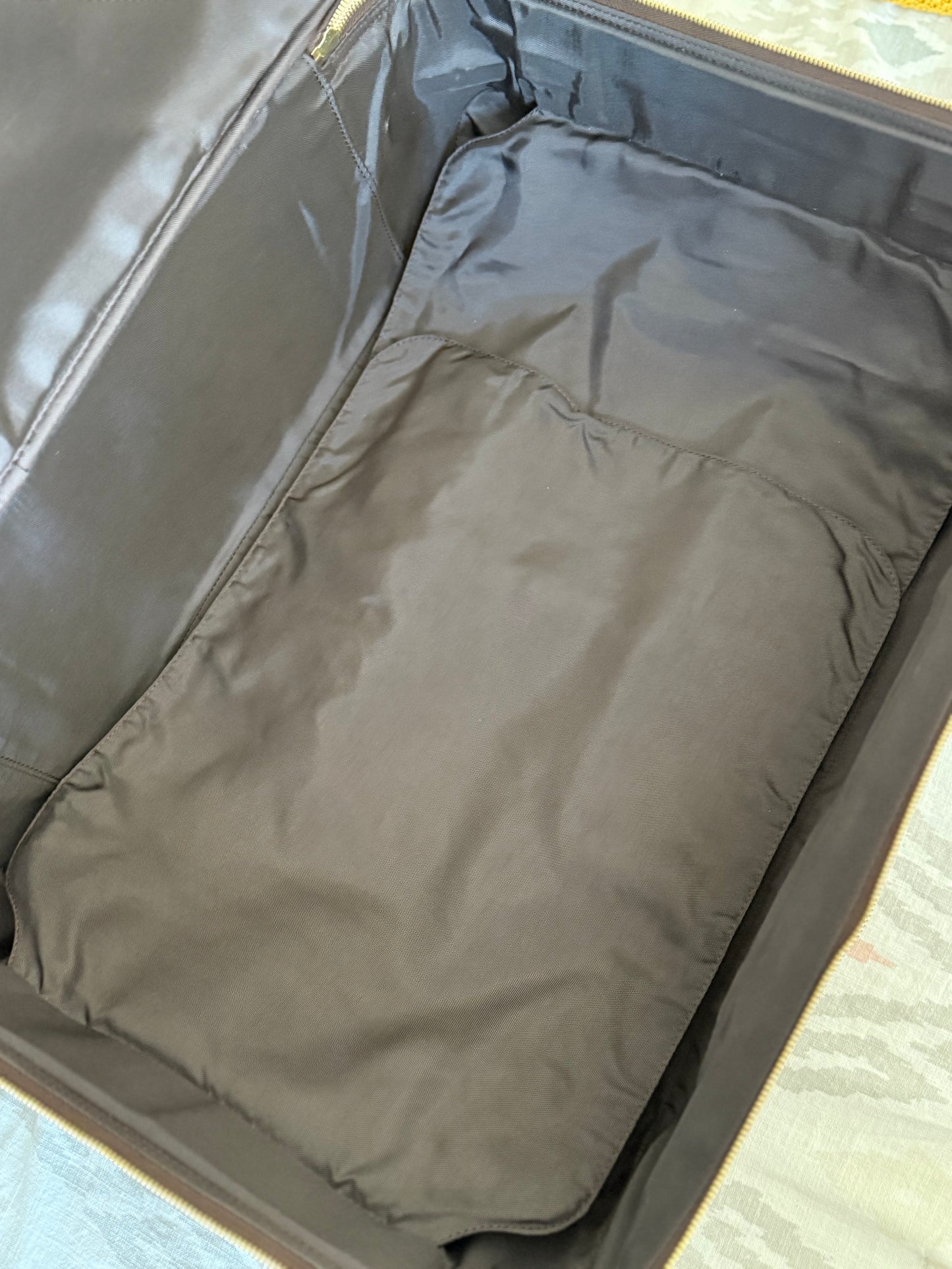 LV Pegase 55 Rolling Luggage